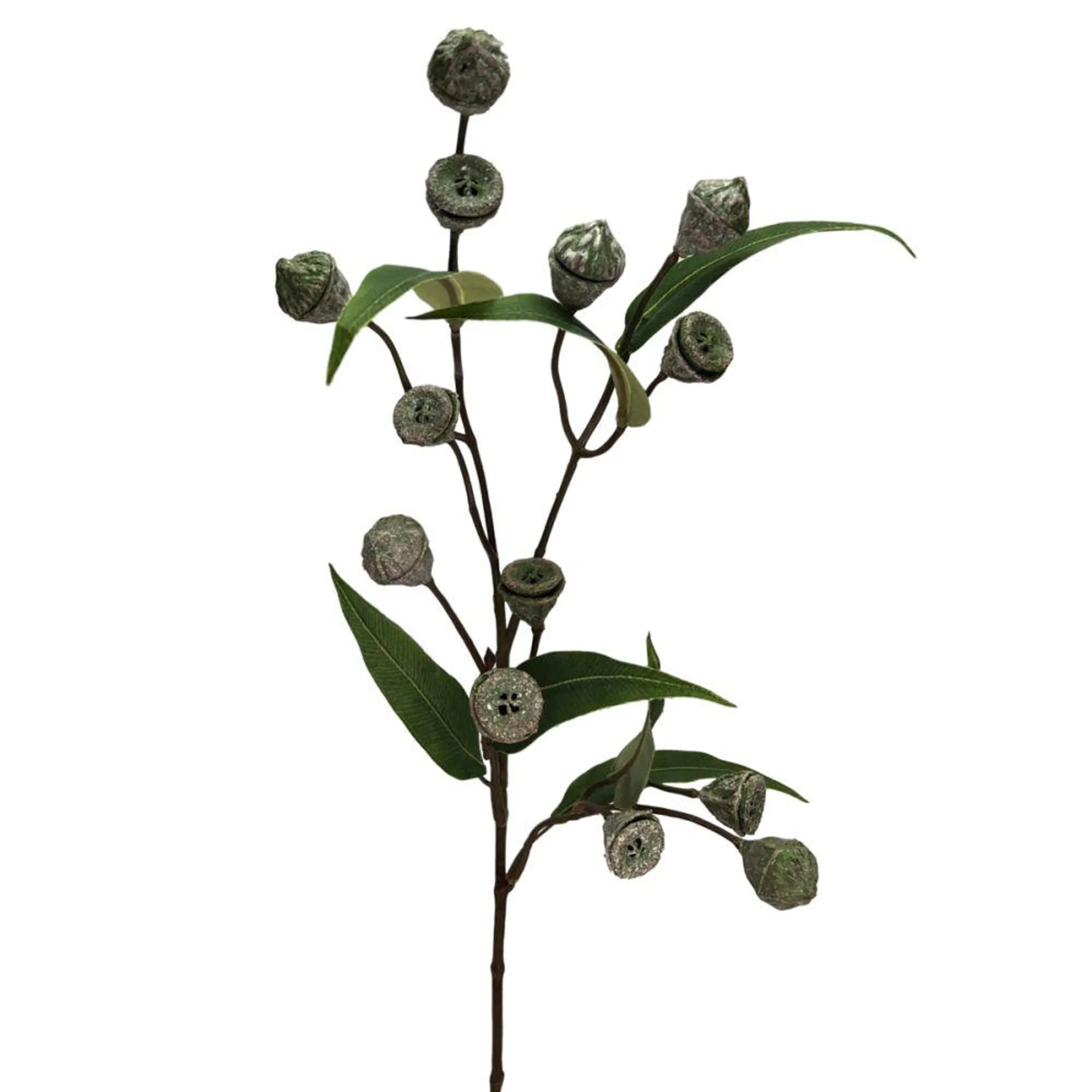 Eucalyptus Pod Spray 70cm