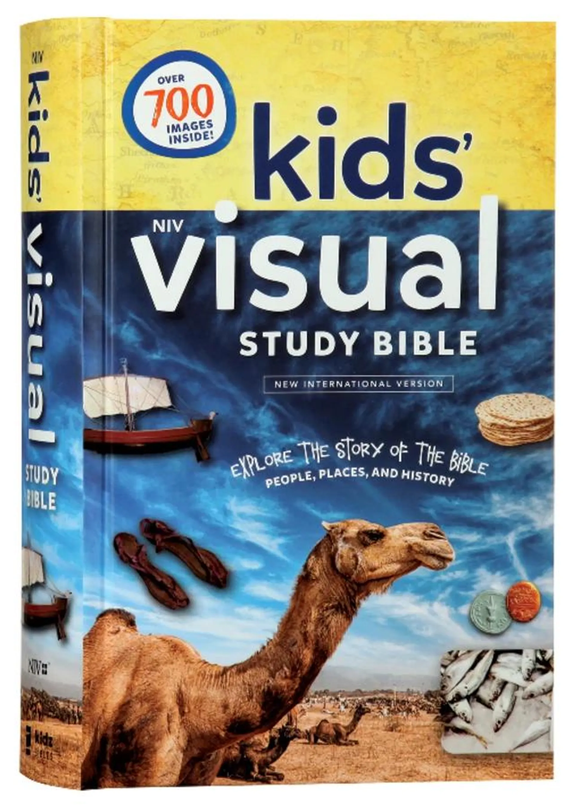 NIV Kids' Visual Study Bible Full Color Interior