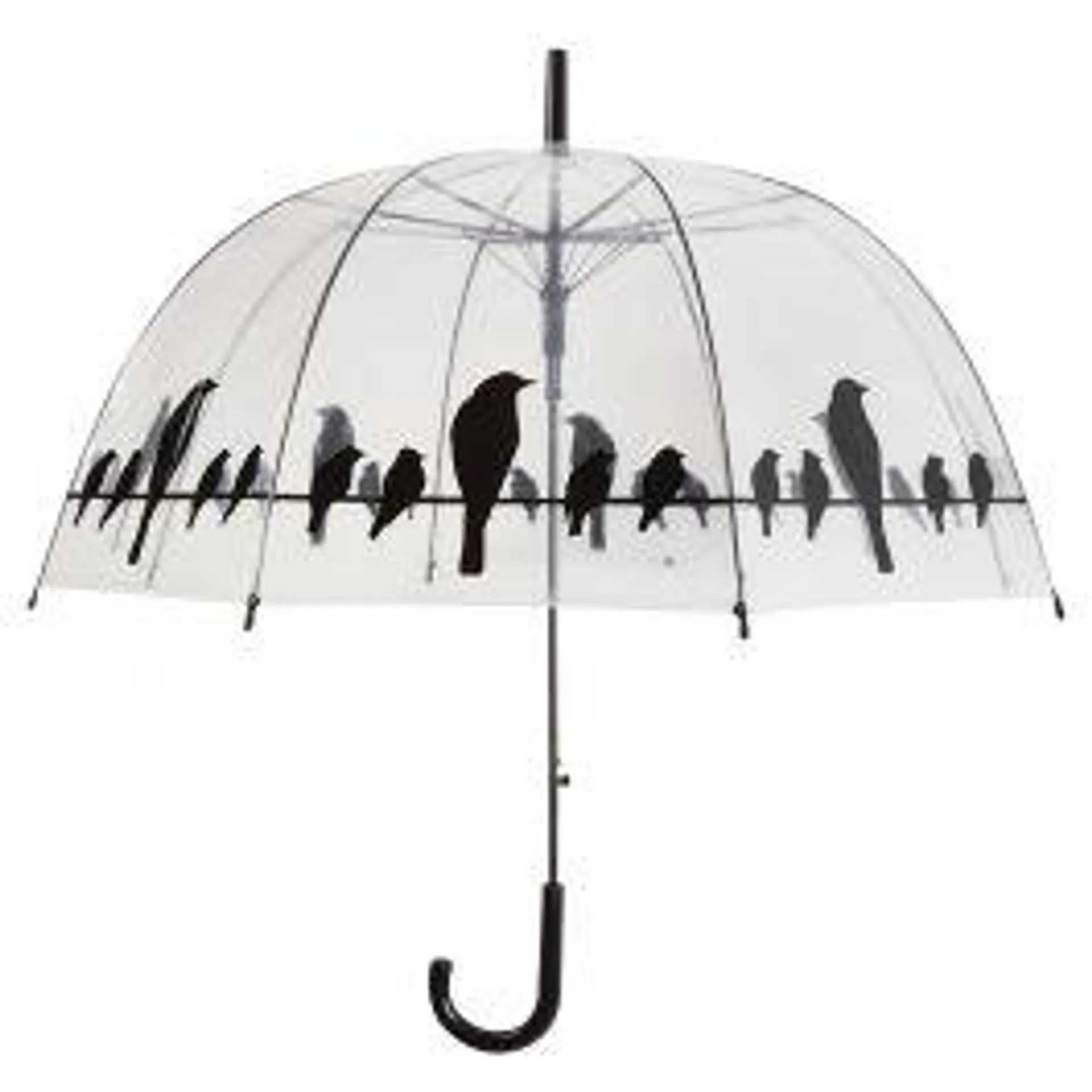 Paraplu transparant vogel