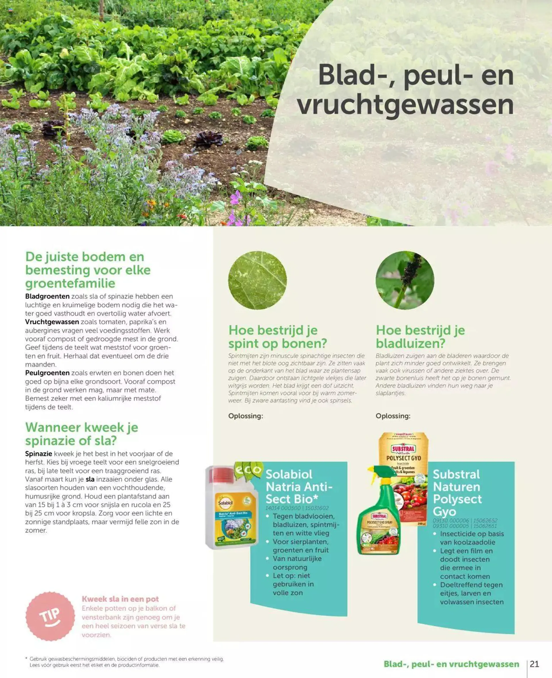 Aveve Moestuingids van 1 maart tot 31 december 2024 - folder pagina 21