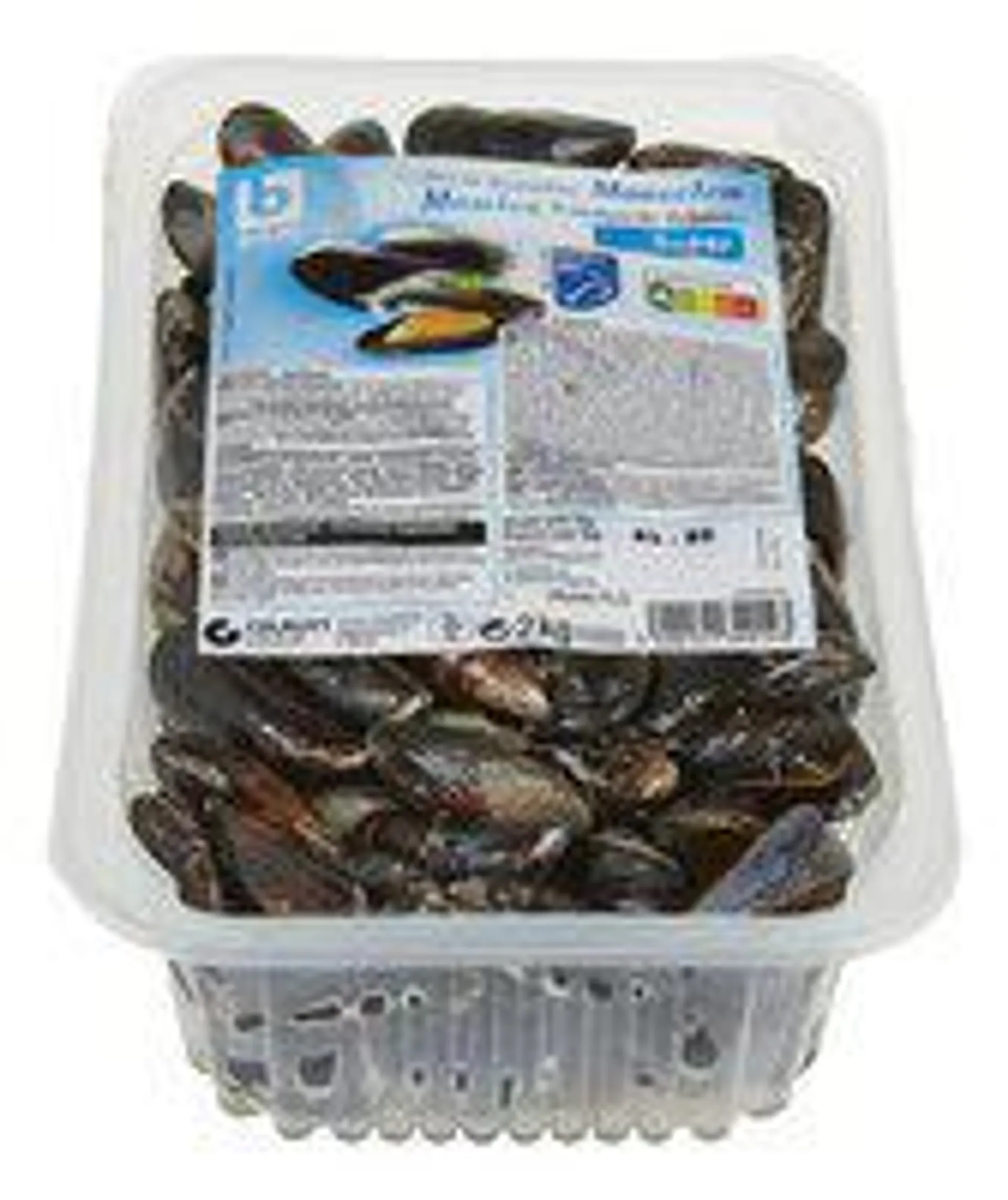 moules Zélande Super MSC