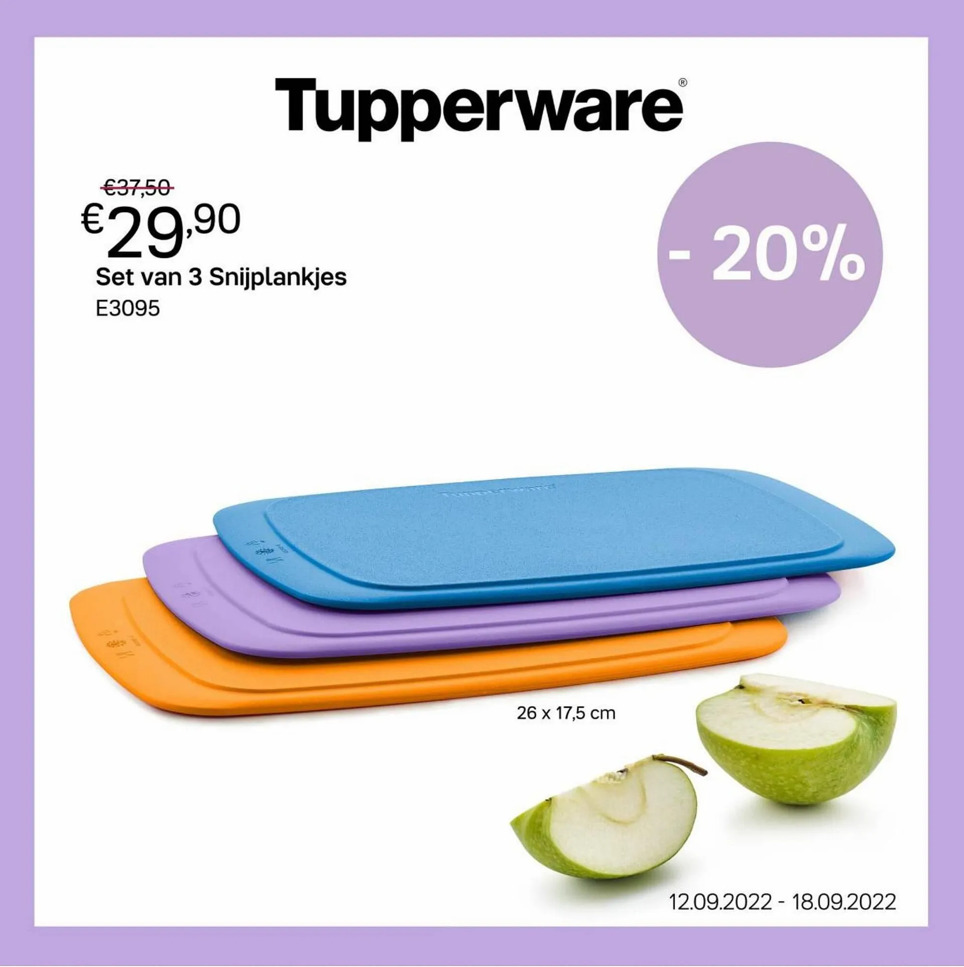 Tupperware Folder - 2