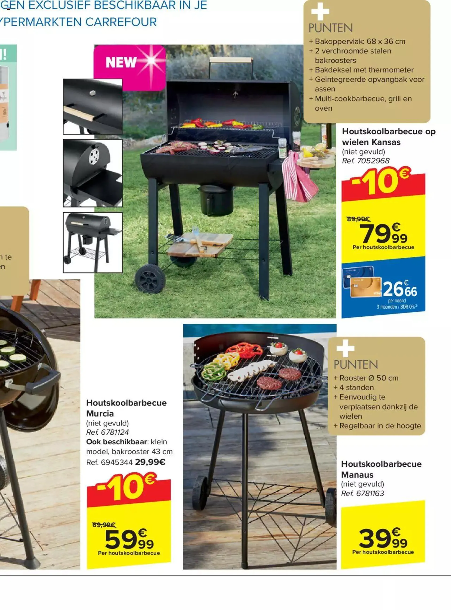 Carrefour Tuinspecial van 6 mei tot 31 december 2024 - folder pagina 52