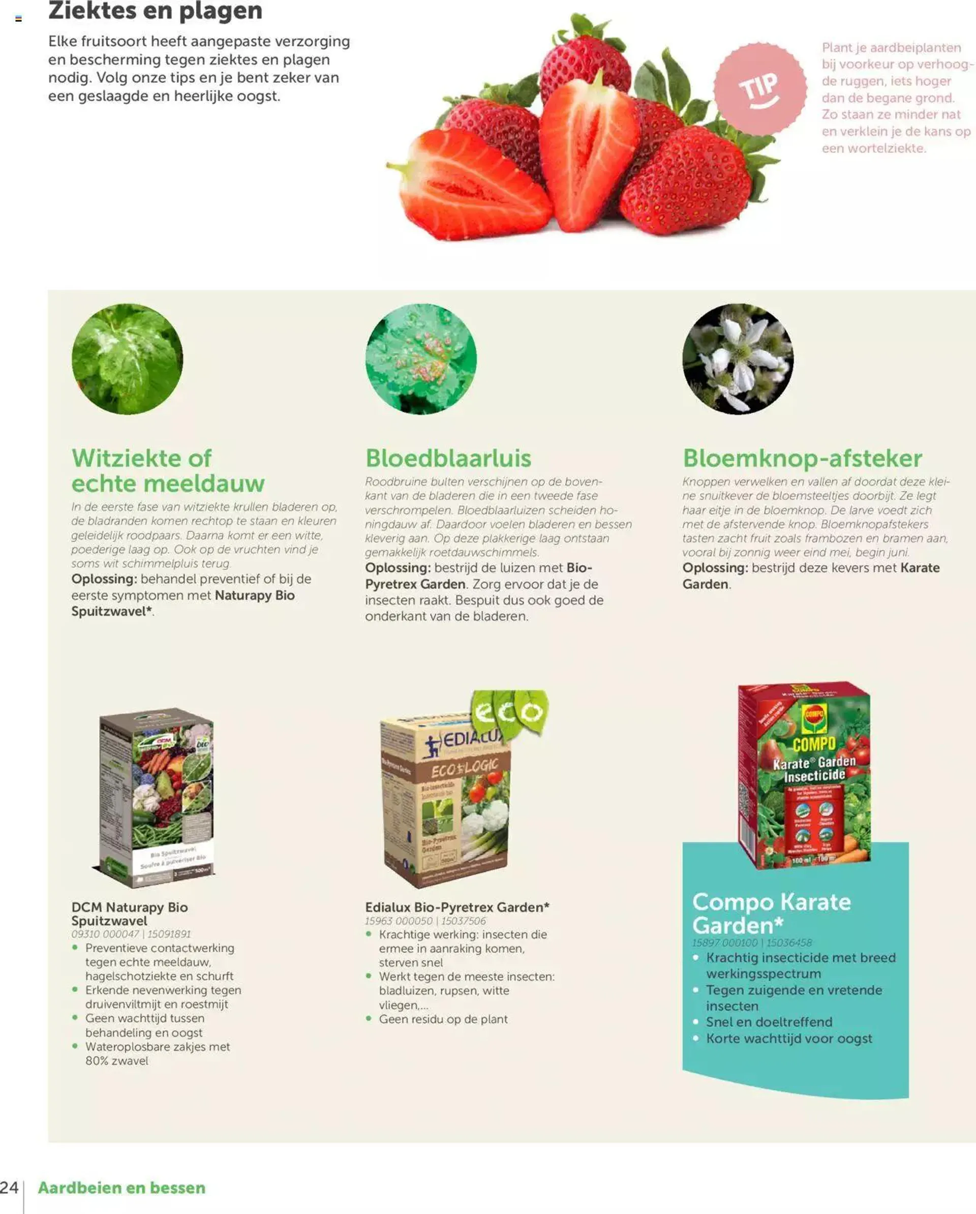 Aveve Moestuingids van 1 maart tot 31 december 2024 - folder pagina 24