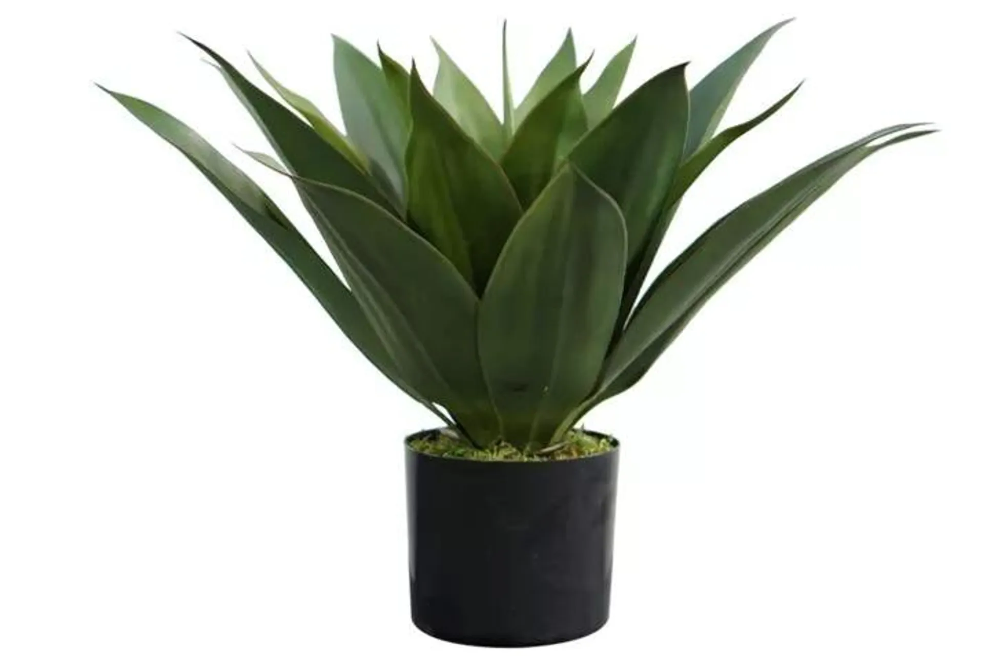 Kunstplant Agave H47cm