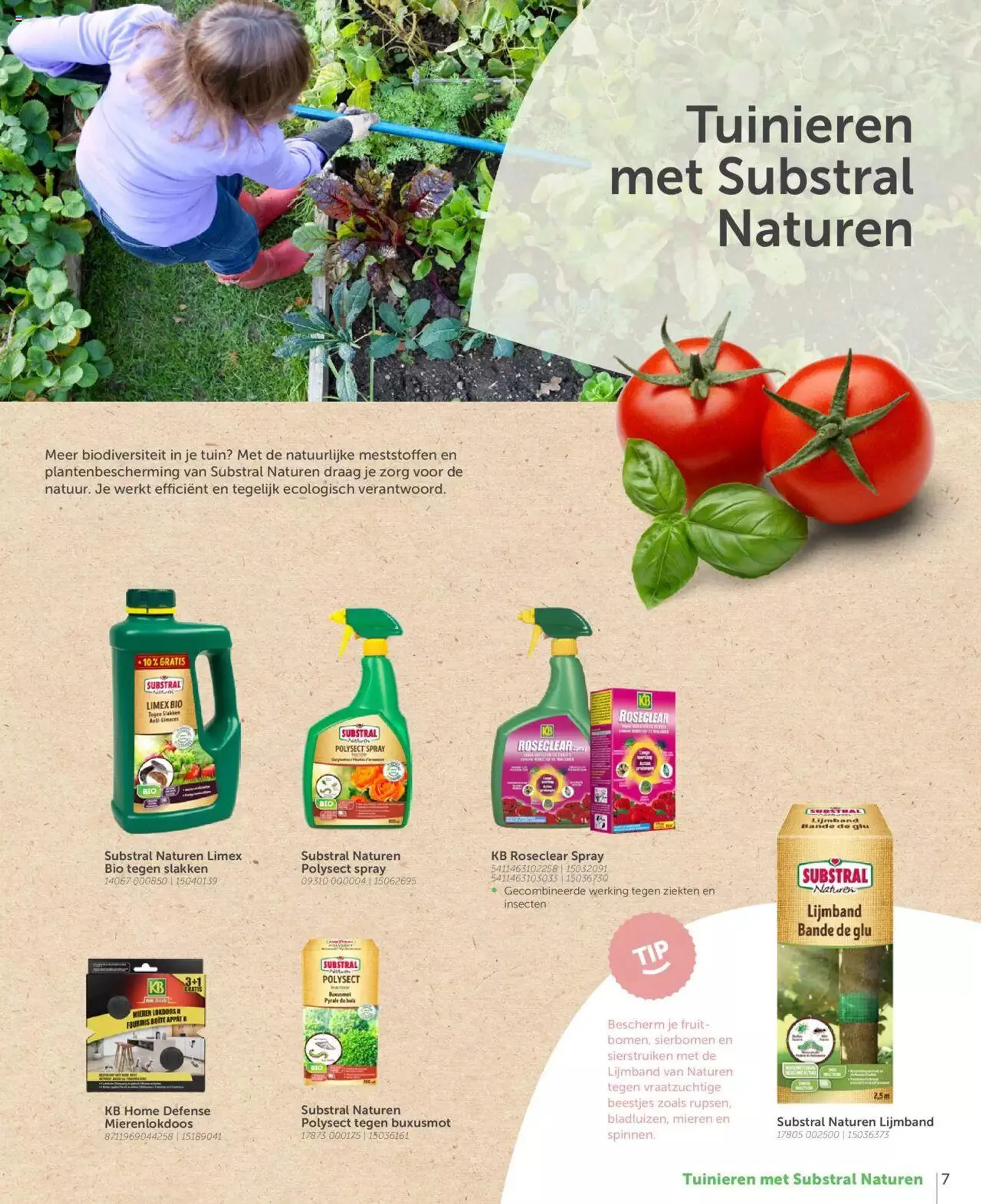 Aveve Moestuingids van 1 maart tot 31 december 2024 - folder pagina 7