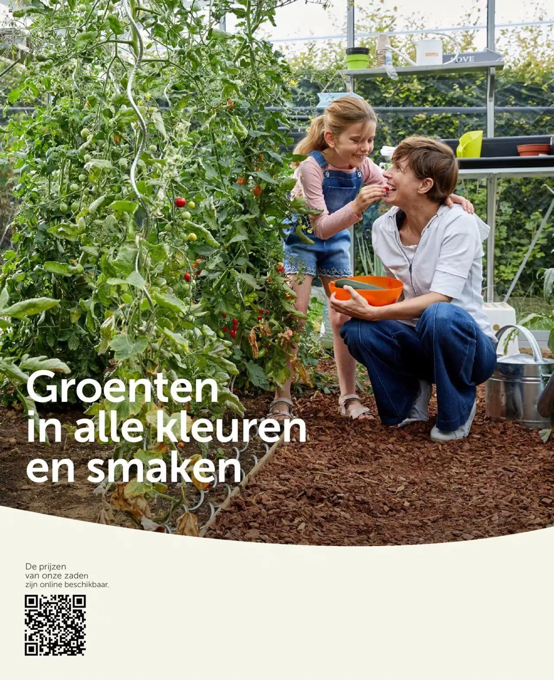 Aveve Groente- en kruidengids van 1 februari tot 6 maart 2024 - folder pagina 2