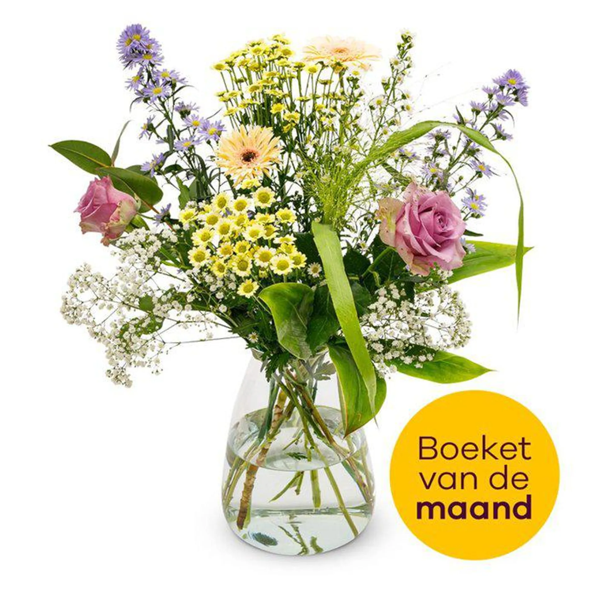 Boeket Vreugde | M/L