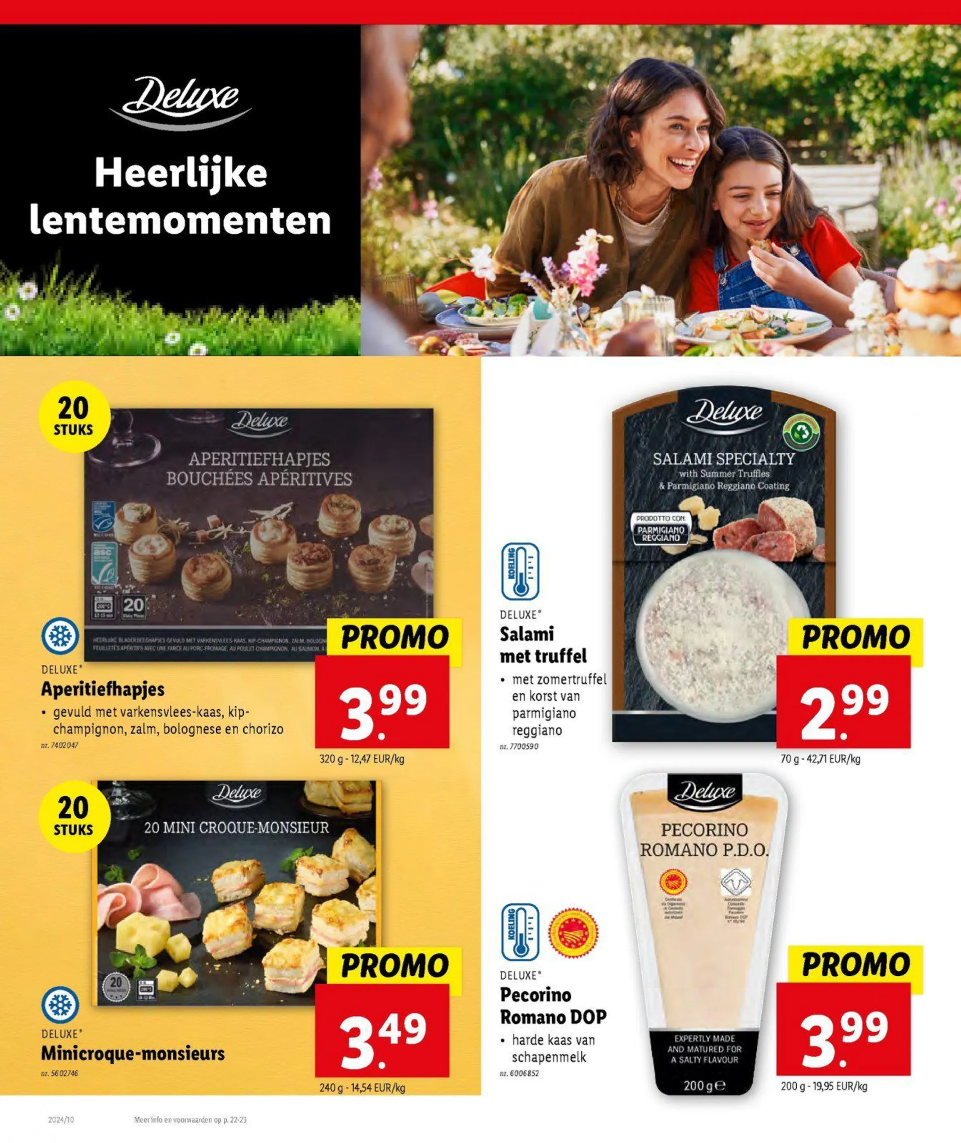 Lidl folder tot 12.03.2024 van 11 maart tot 12 maart 2024 - folder pagina 10