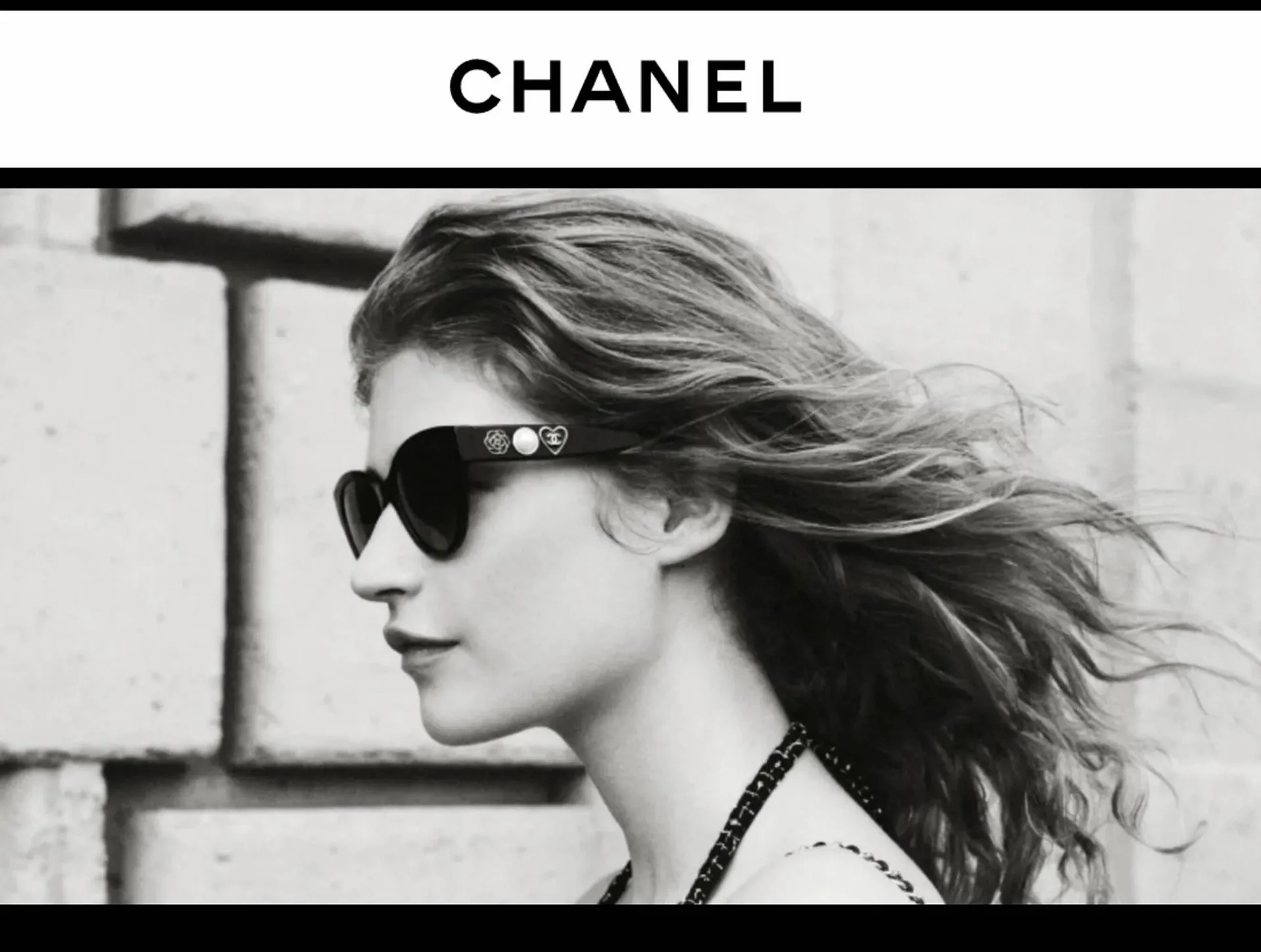 Chanel Folder - 8