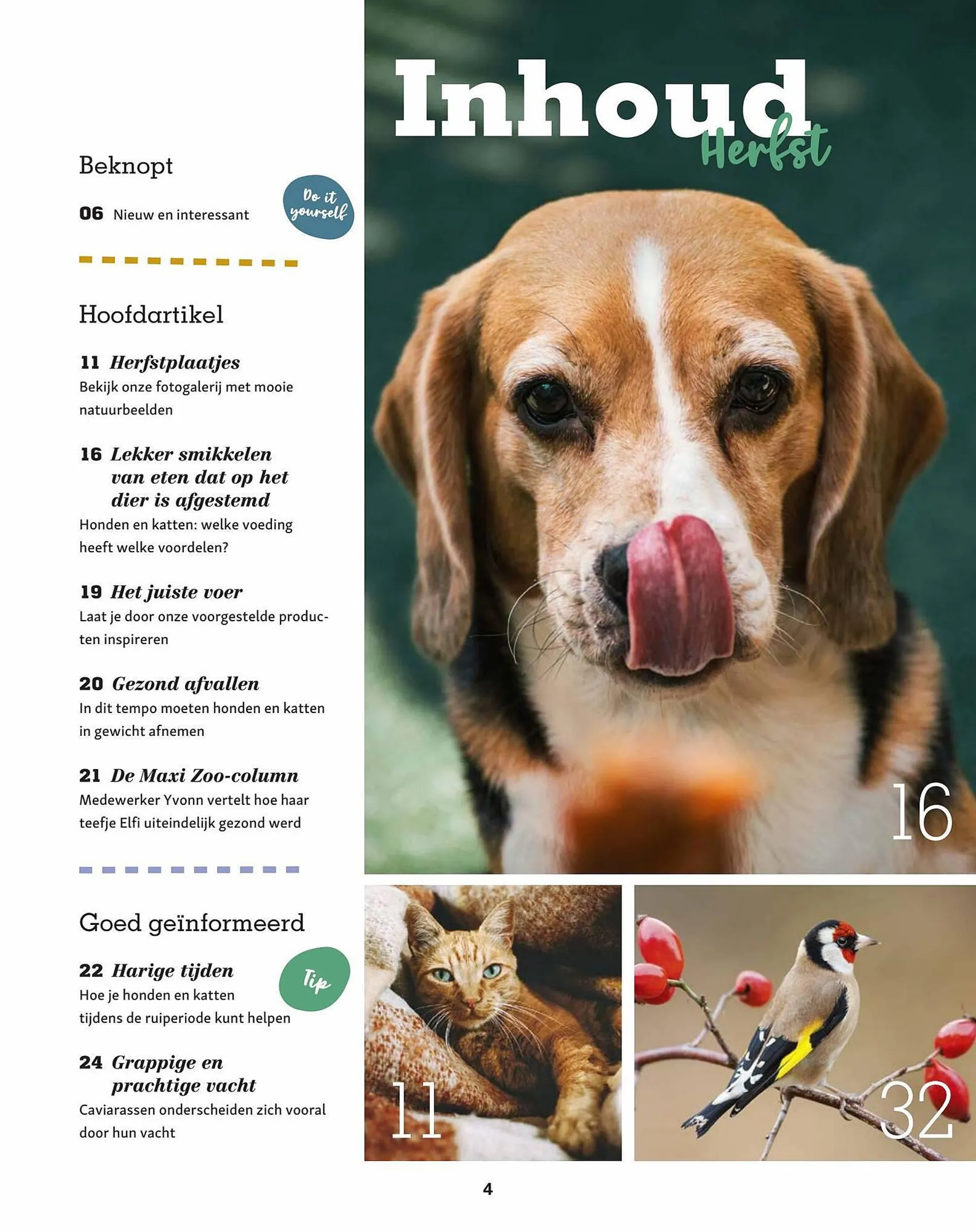 Maxi Zoo Magazine - 4
