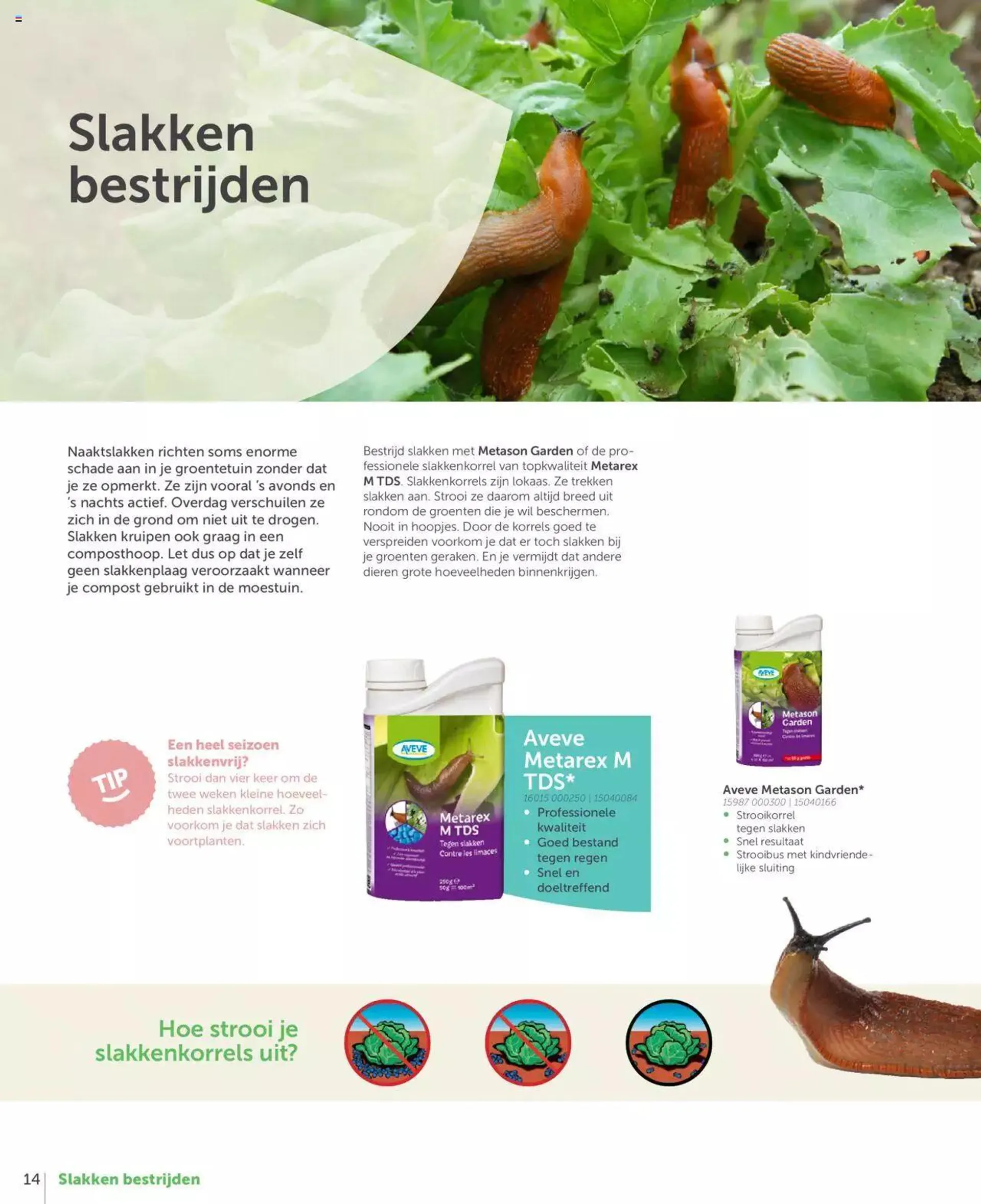 Aveve Moestuingids van 1 maart tot 31 december 2024 - folder pagina 14