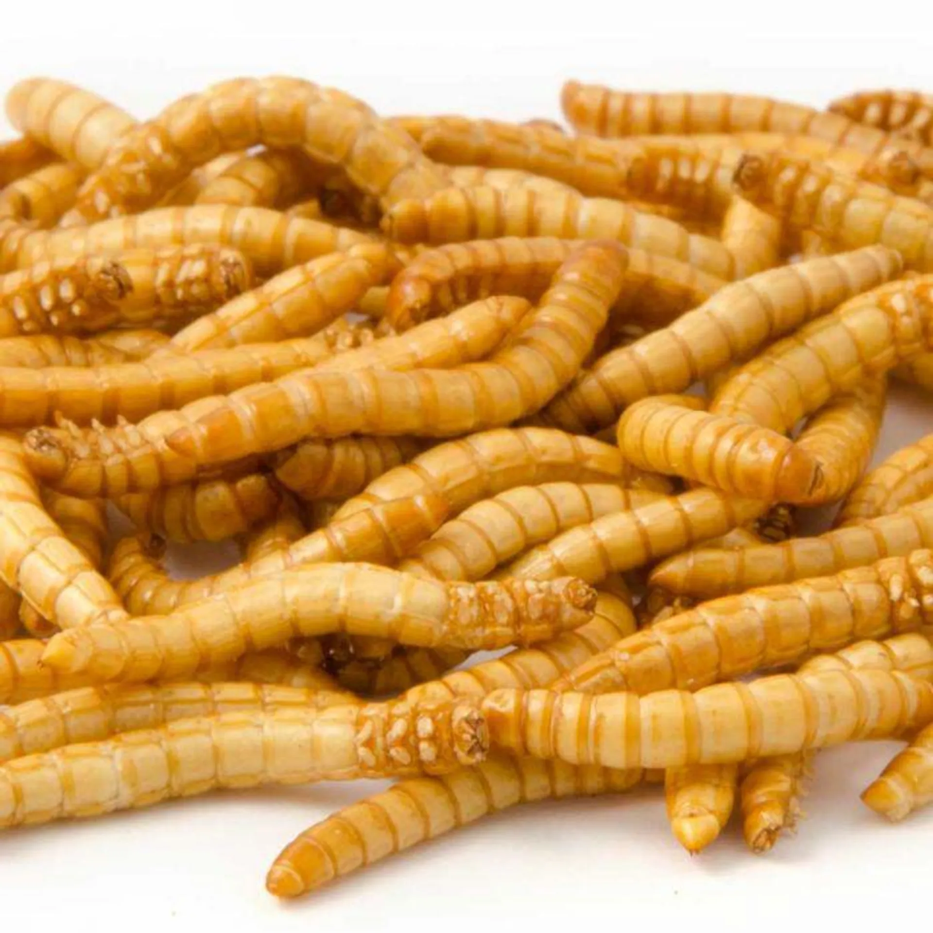 Gevriesdroogde meelwormen 100 g