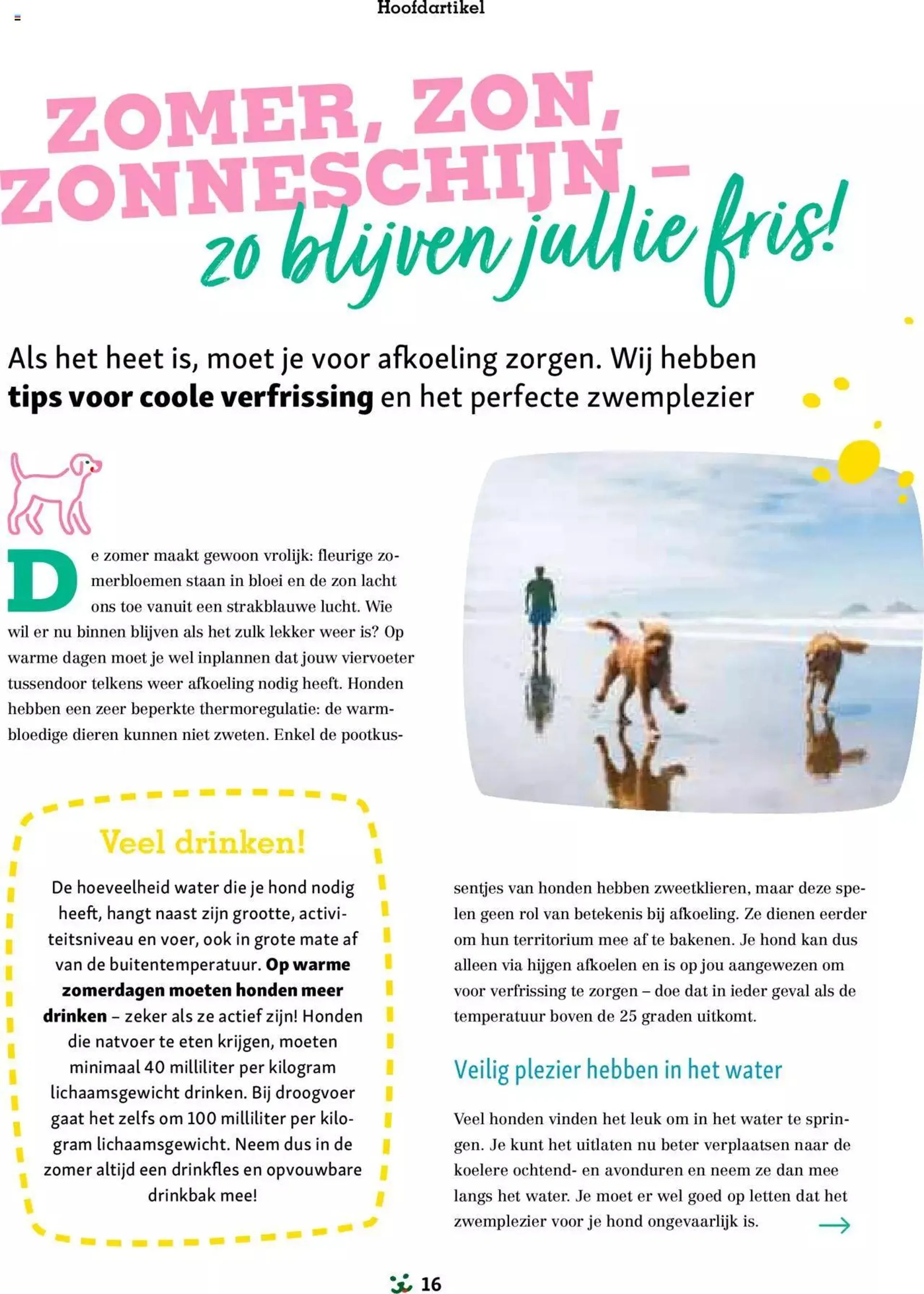 Maxi Zoo folder van 1 januari tot 31 december 2024 - folder pagina 16