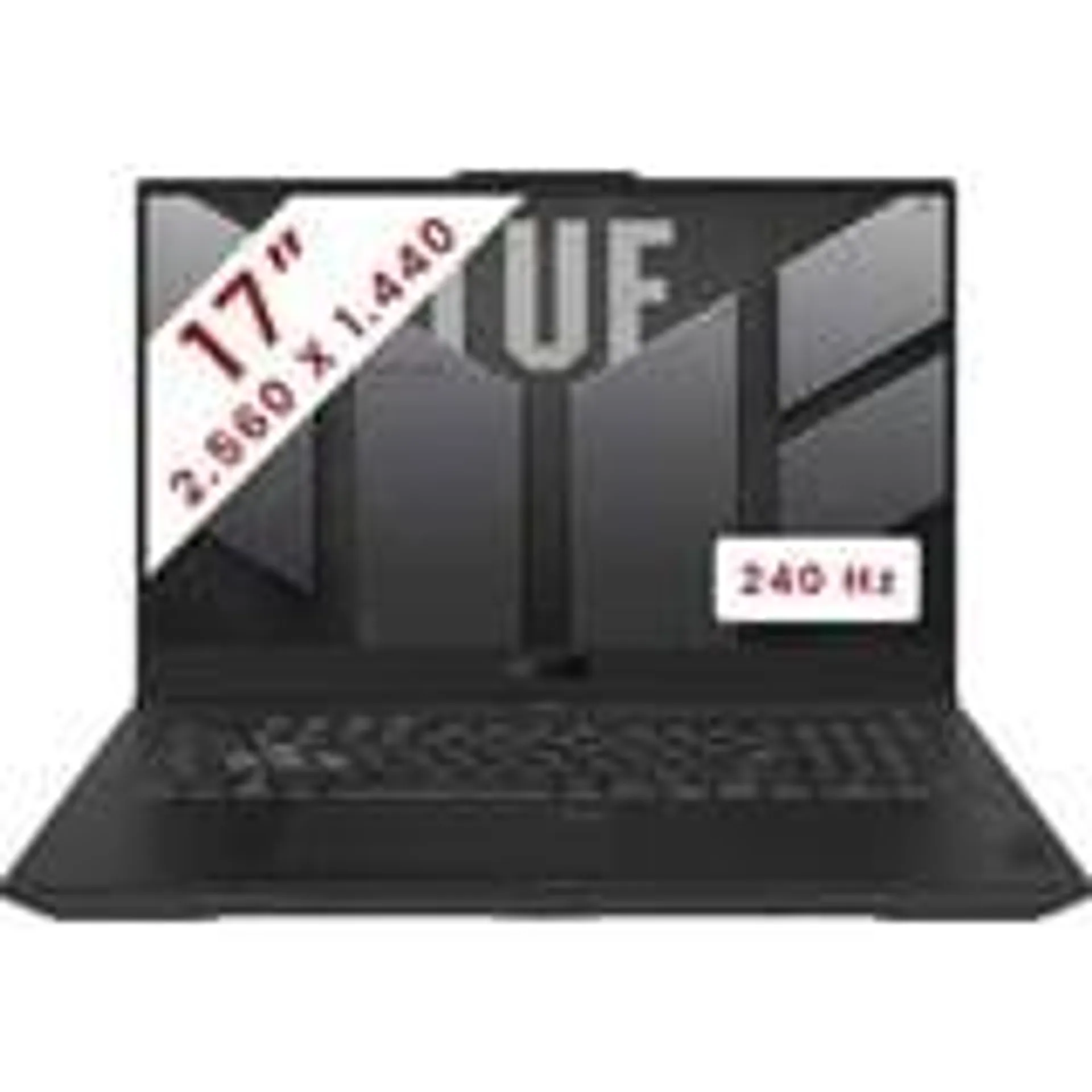 TUF Gaming F17 (FX707VI-LL055W) 17.3" gaming laptop