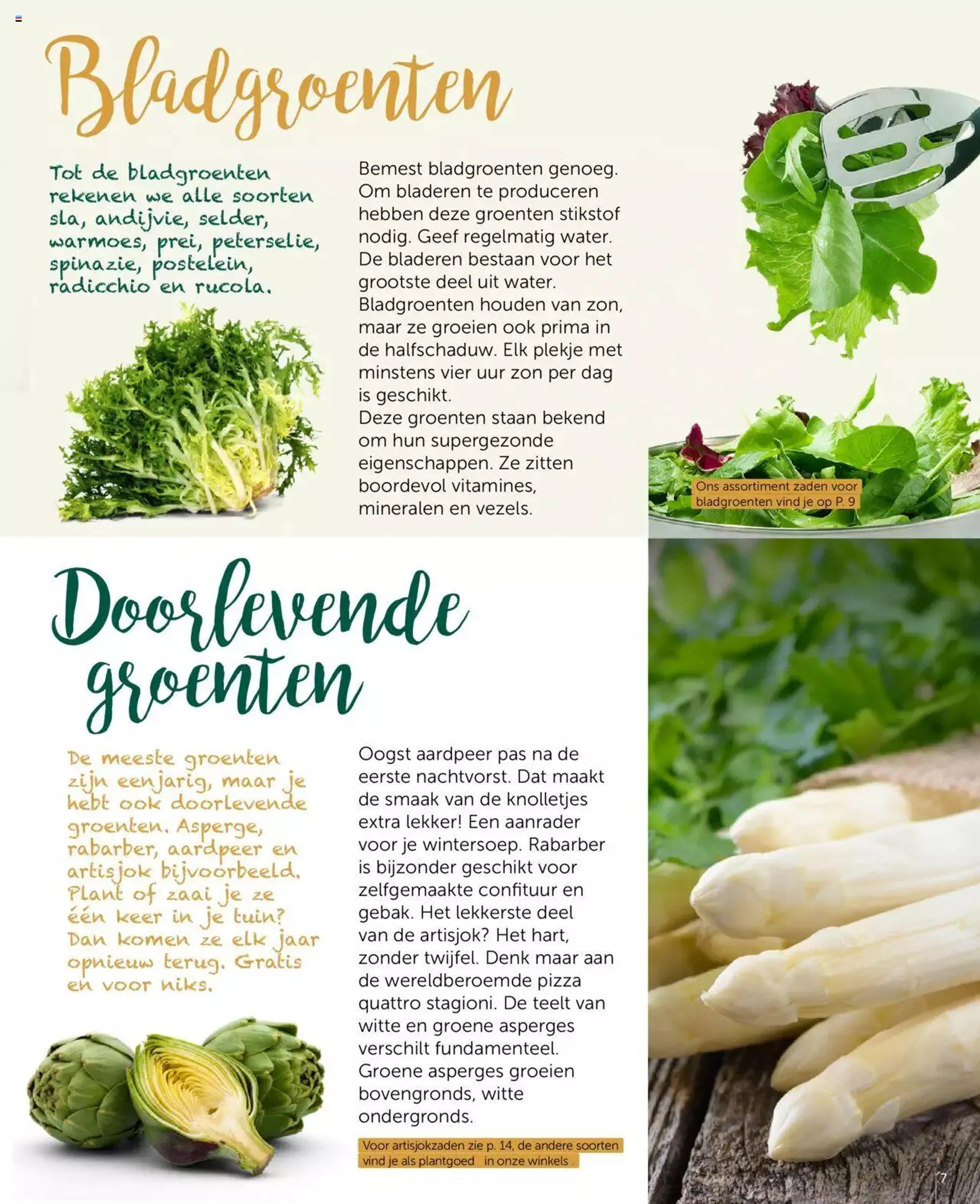 Aveve Groente- en kruidengids van 1 februari tot 31 december 2024 - folder pagina 7