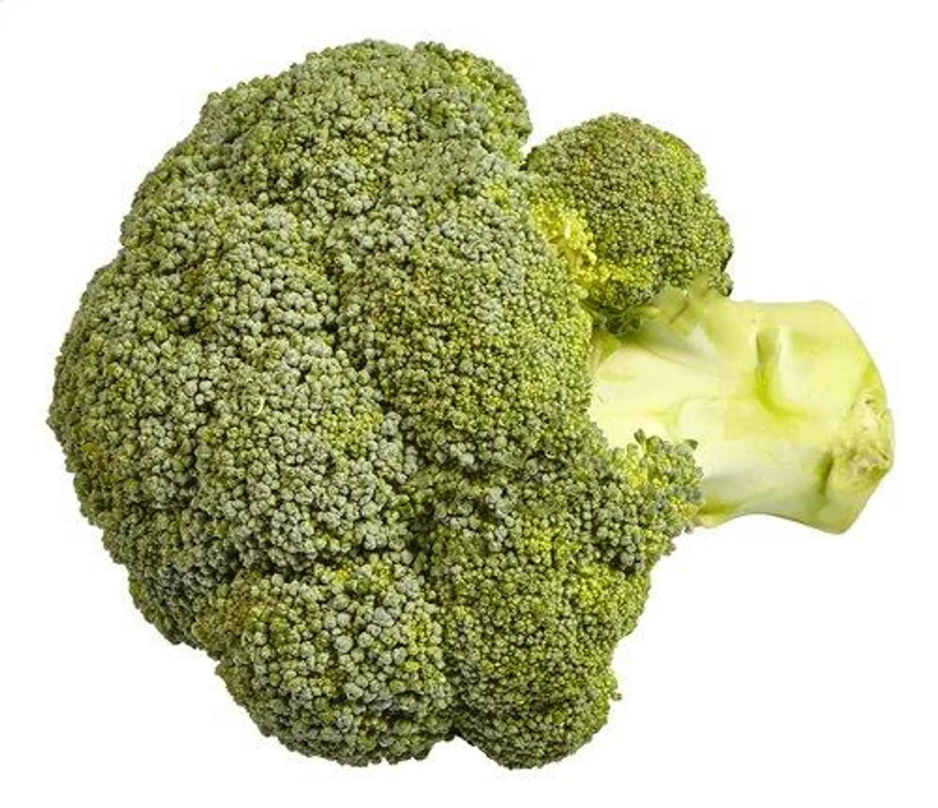 brocoli 1pc