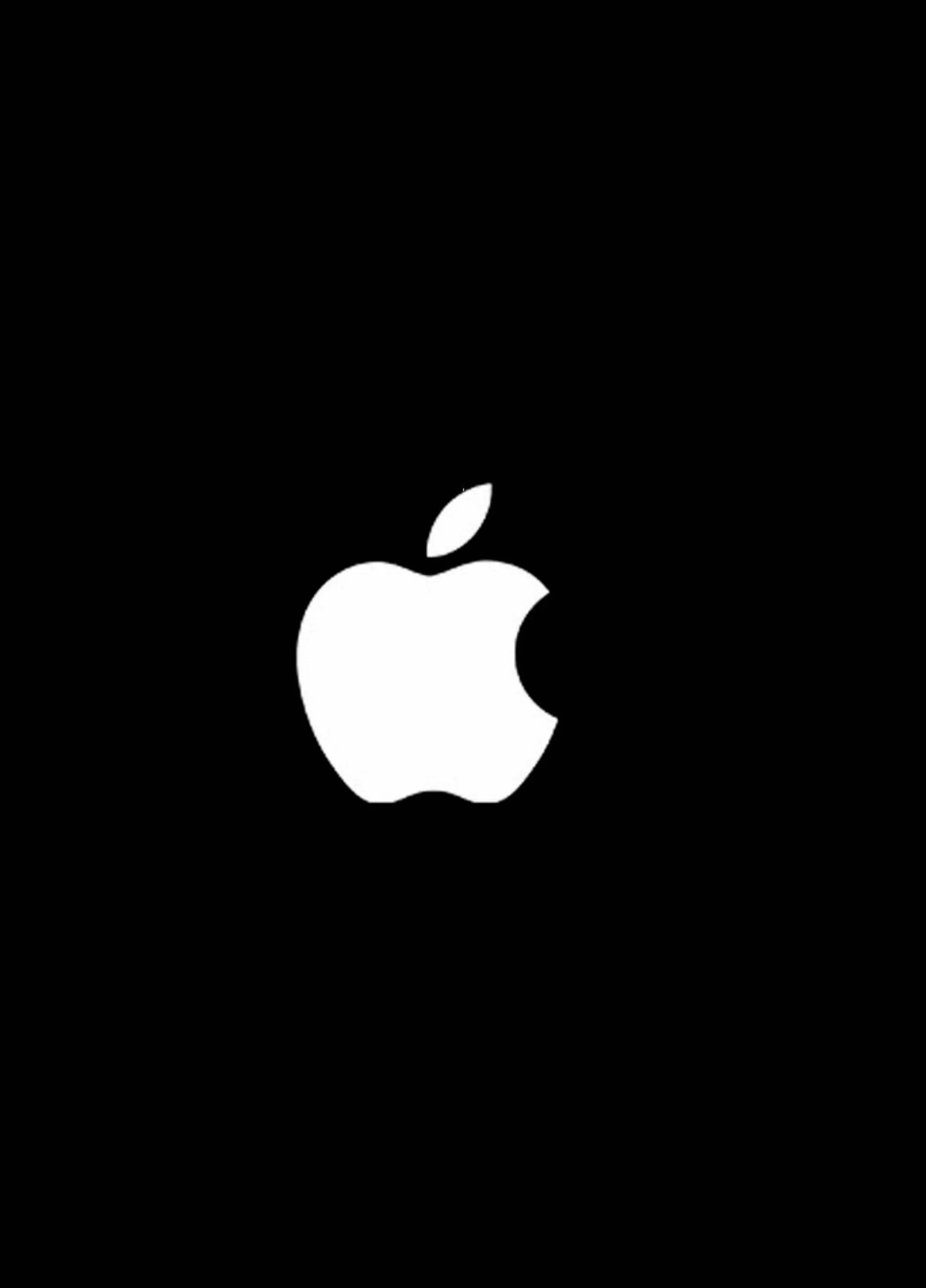 Apple Store Folder - 12