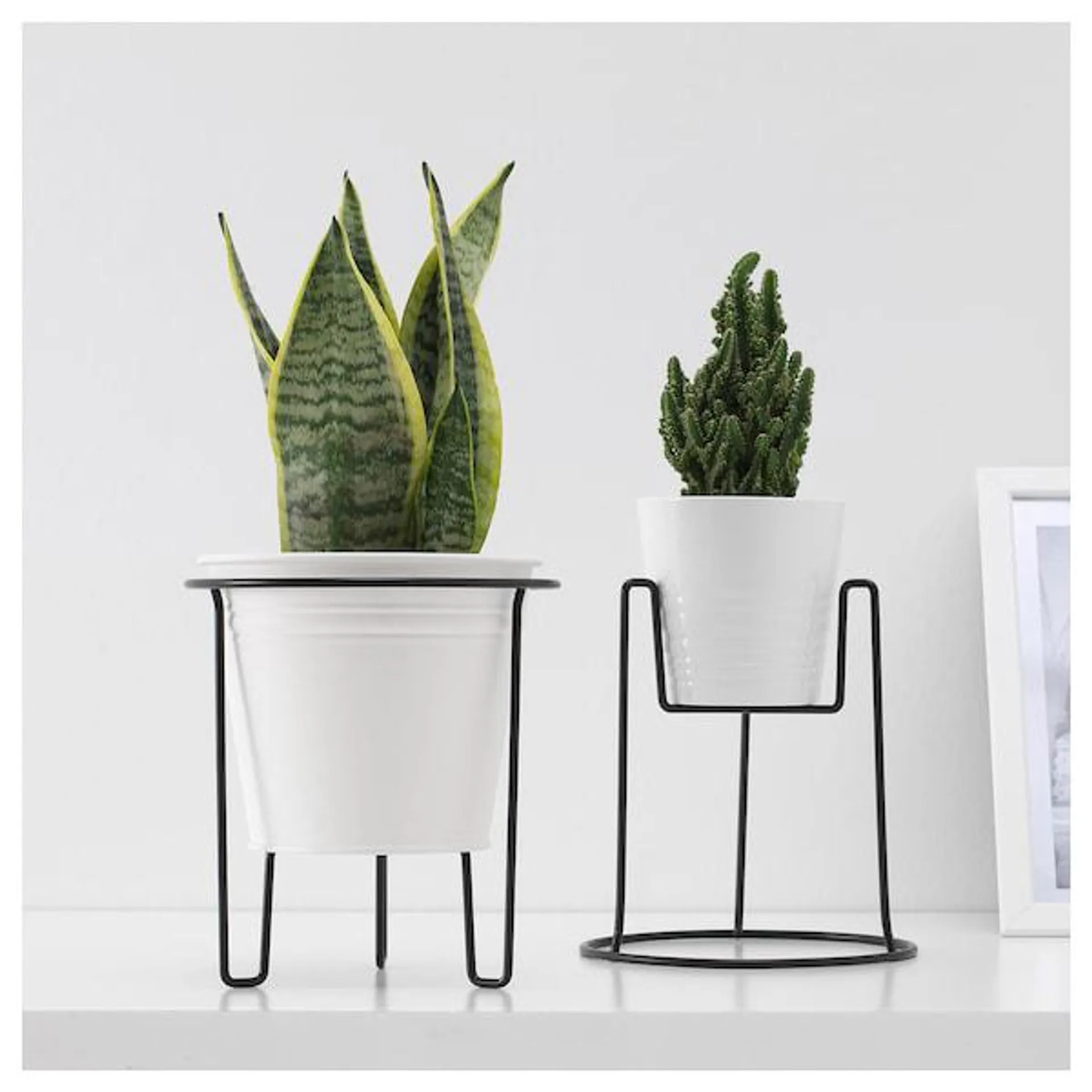 Plant stand, in/outdoor black,