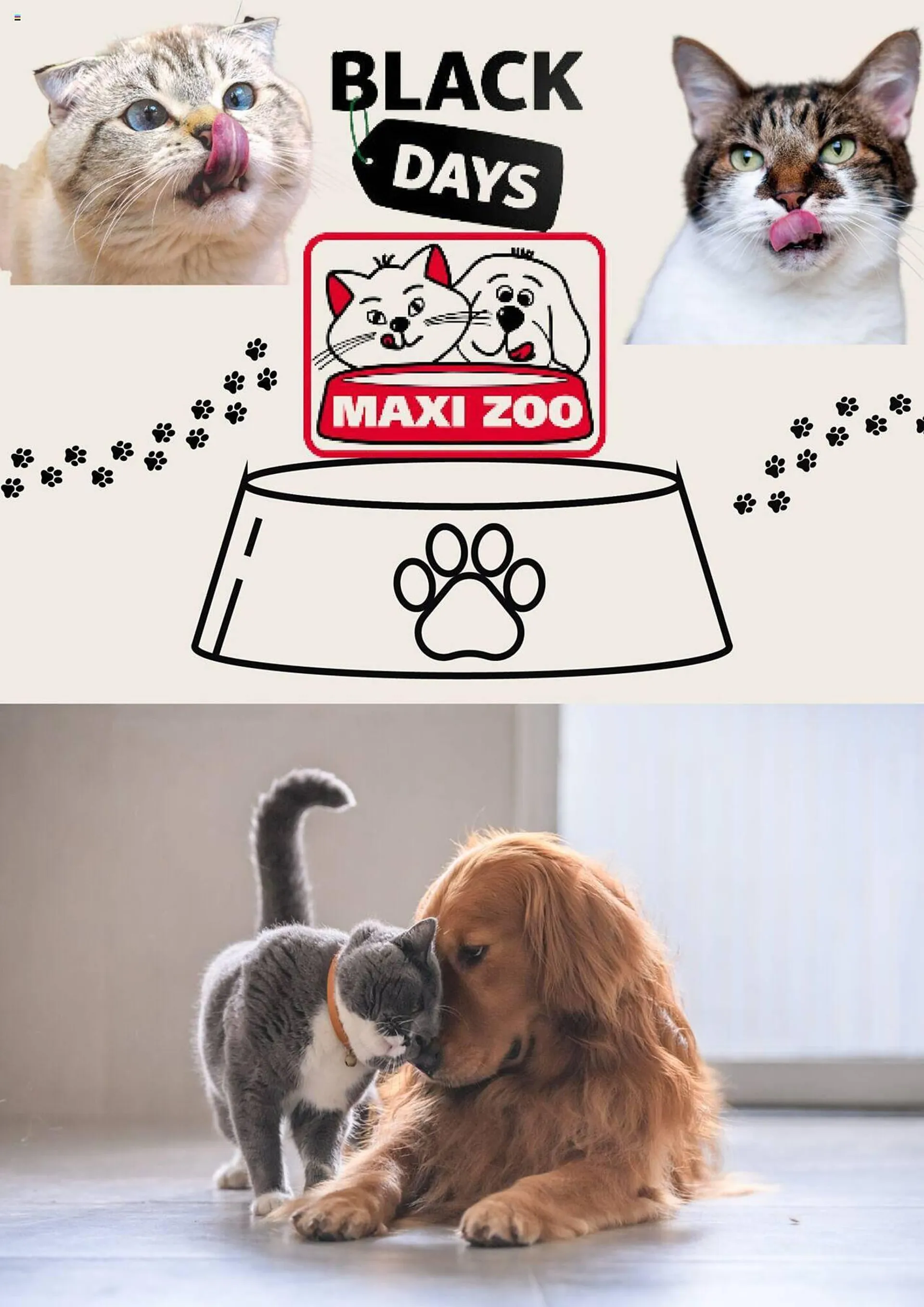 Maxi Zoo Folder - 1