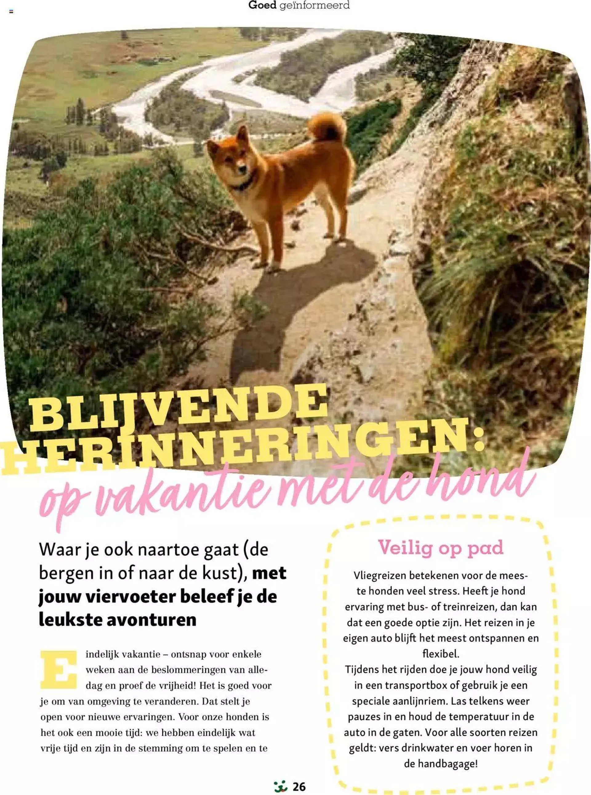 Maxi Zoo folder van 1 januari tot 31 december 2024 - folder pagina 26