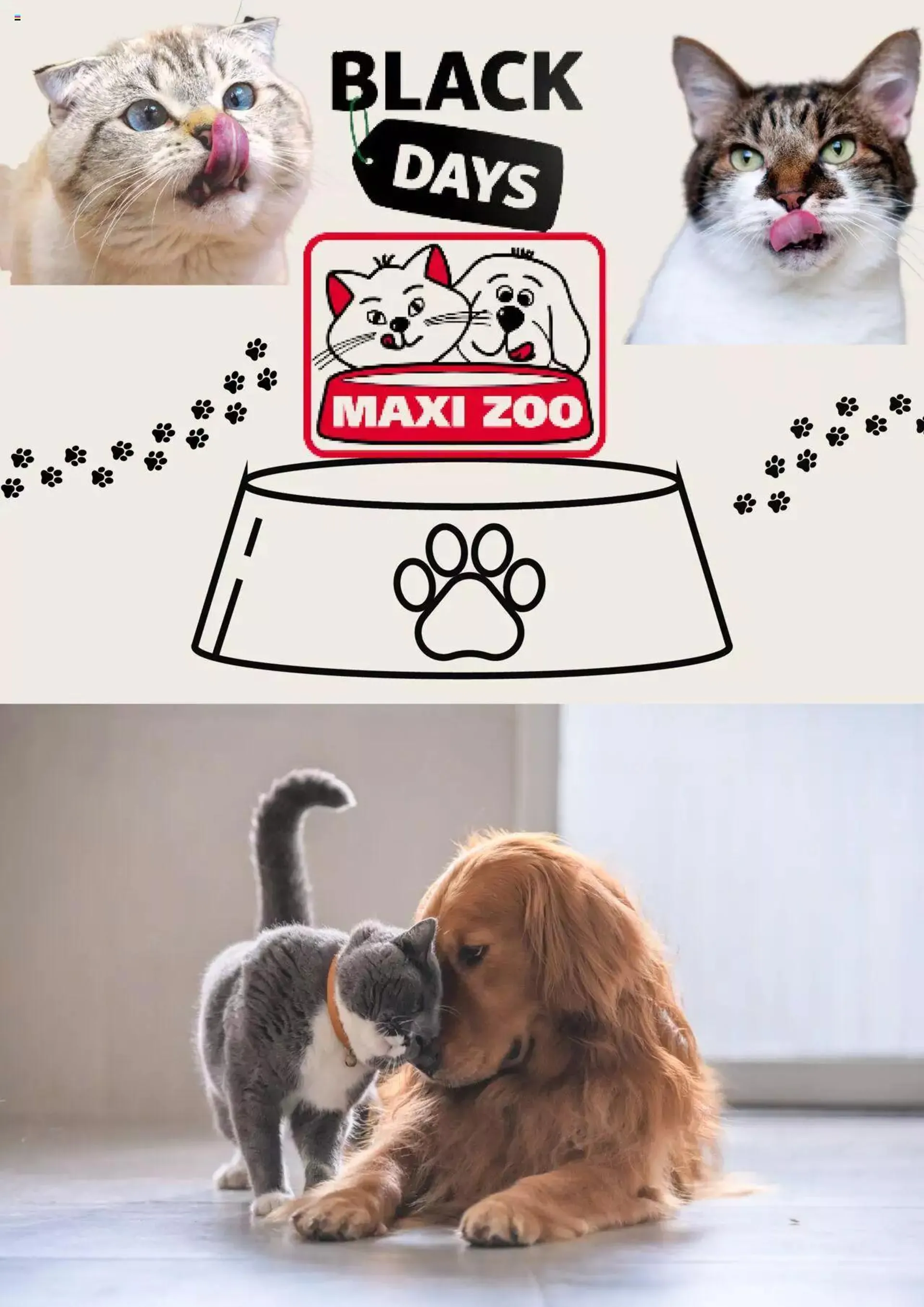 Maxi Zoo - Black Friday - 0