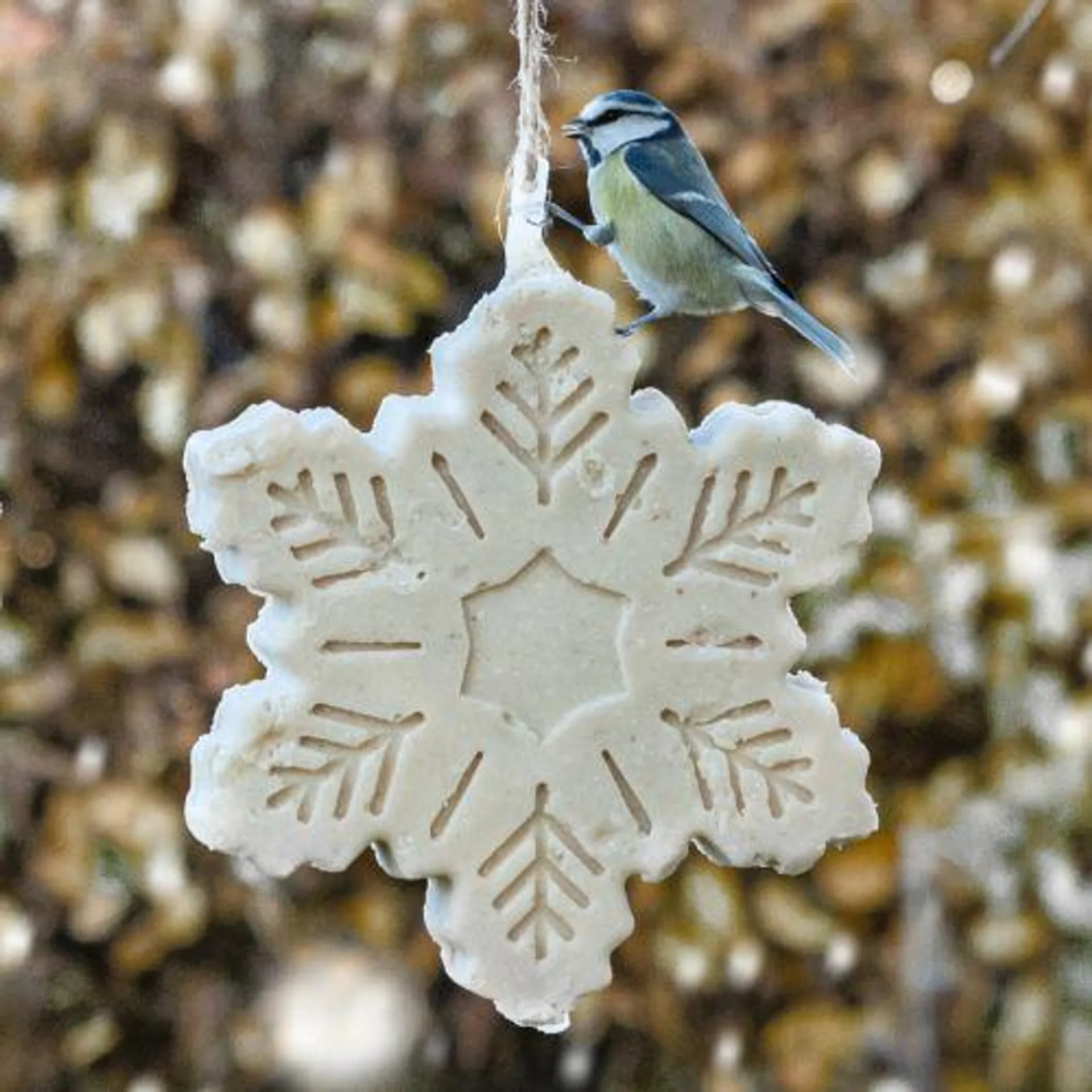 Vettraktatie Sneeuwvlok