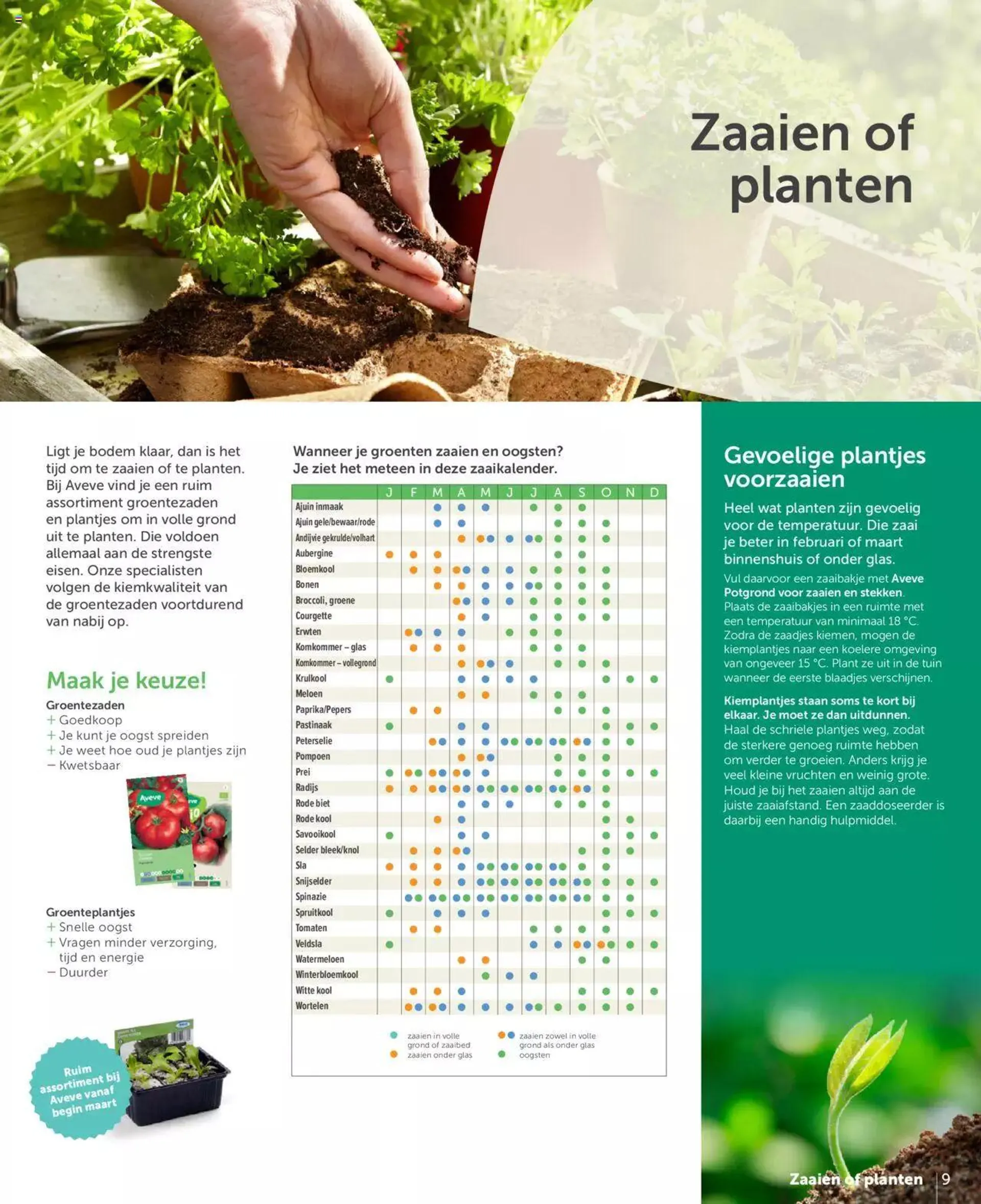 Aveve Moestuingids van 1 maart tot 31 december 2024 - folder pagina 9