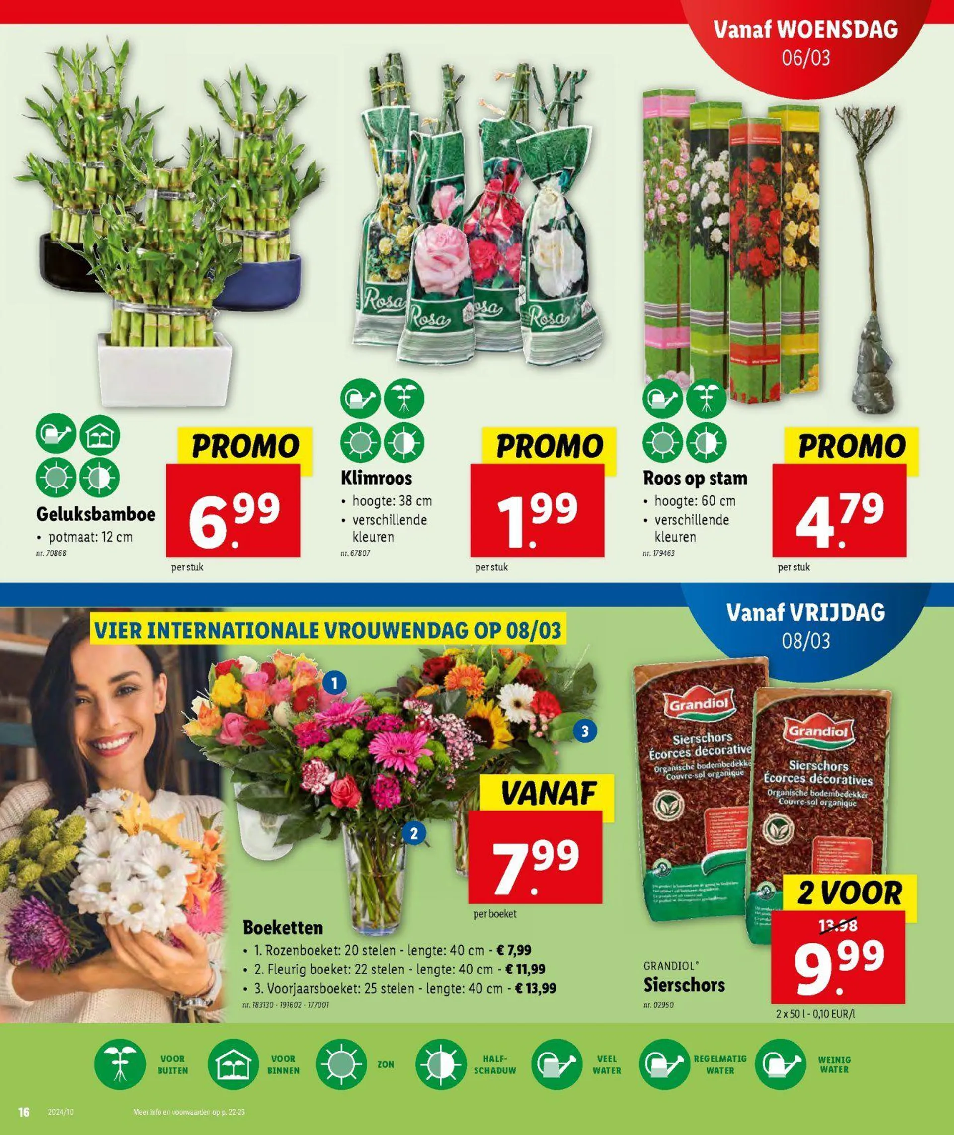 Lidl folder tot 12.03.2024 van 11 maart tot 12 maart 2024 - folder pagina 22