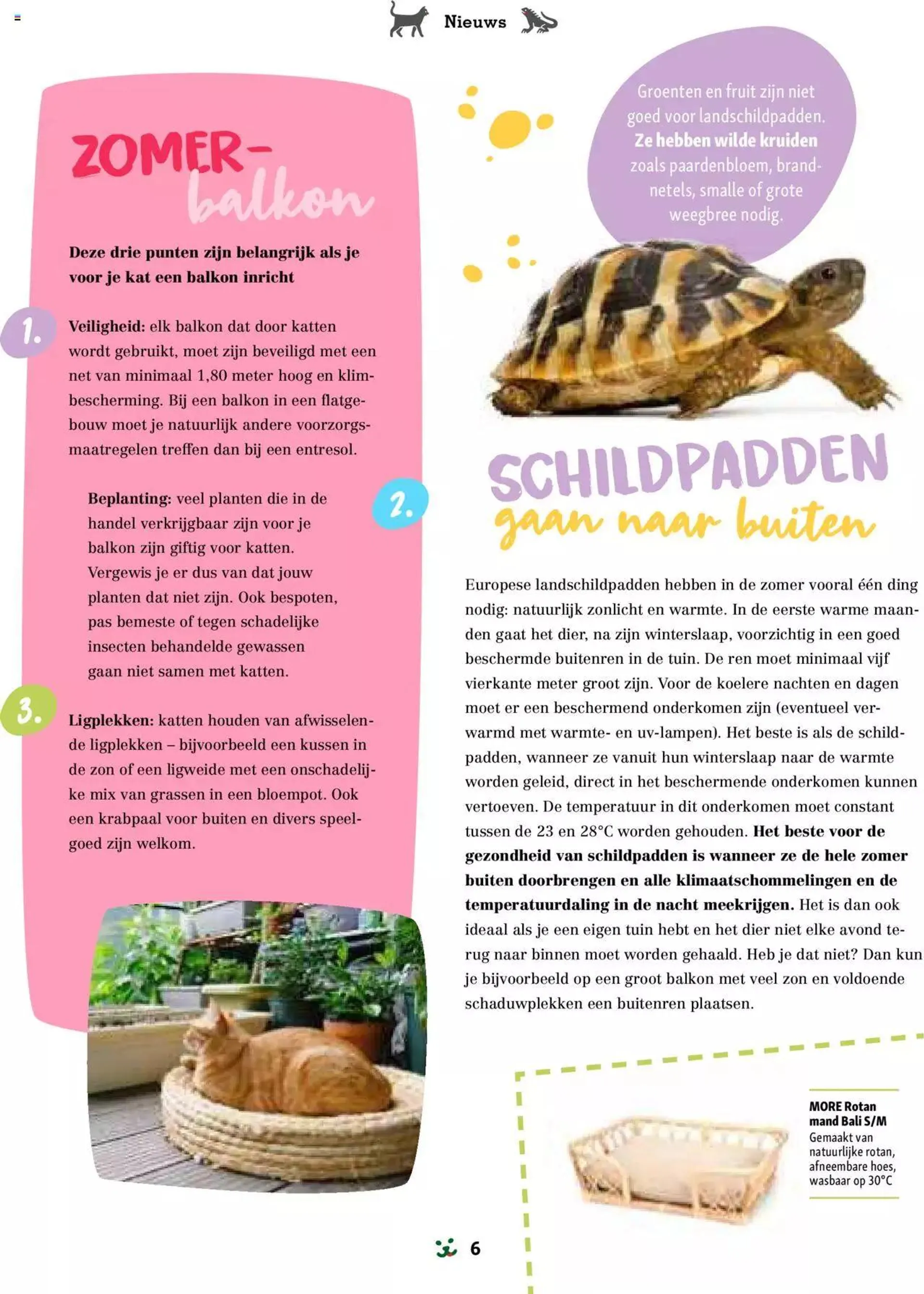 Maxi Zoo folder van 1 januari tot 31 december 2024 - folder pagina 6