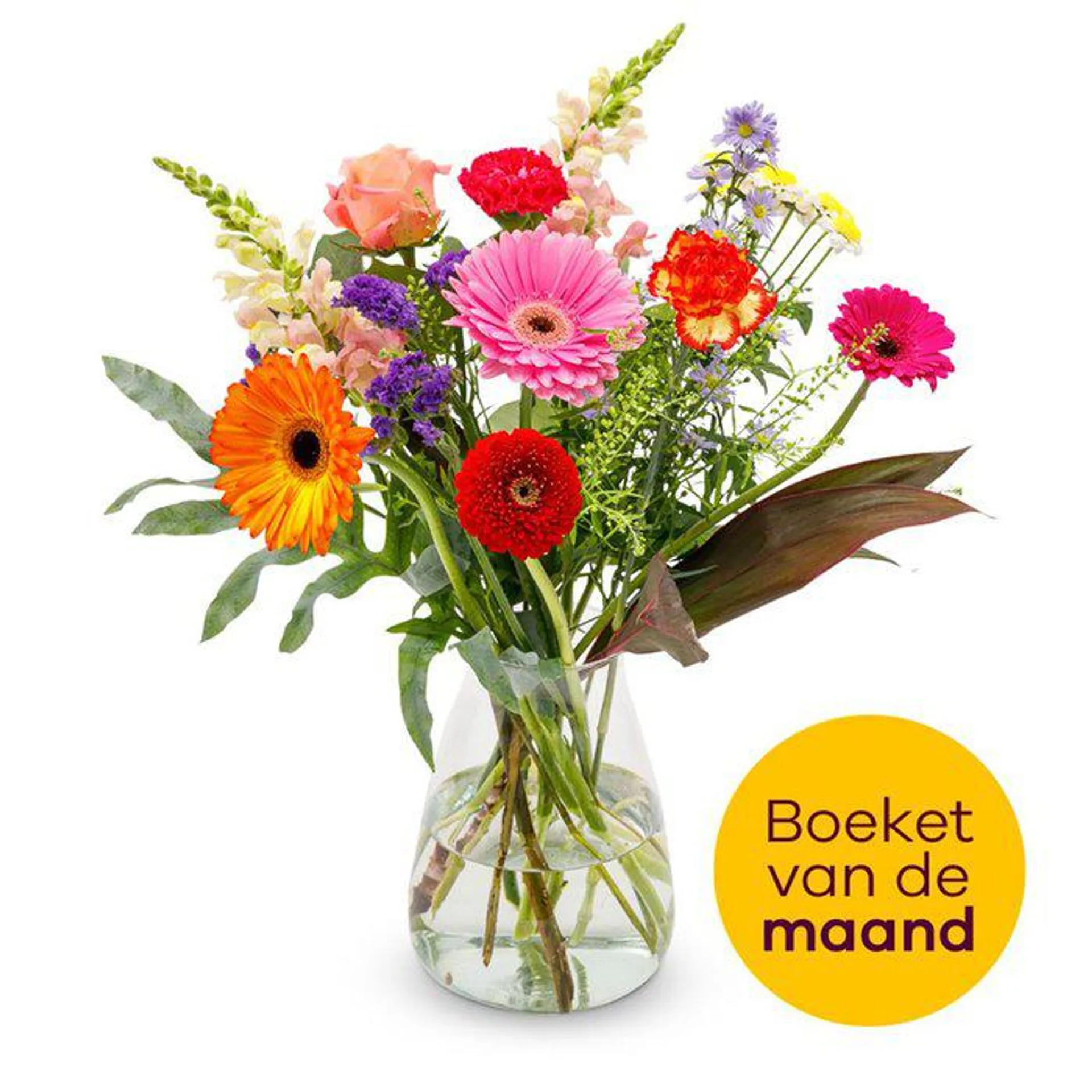 Boeket Stralend | M/L