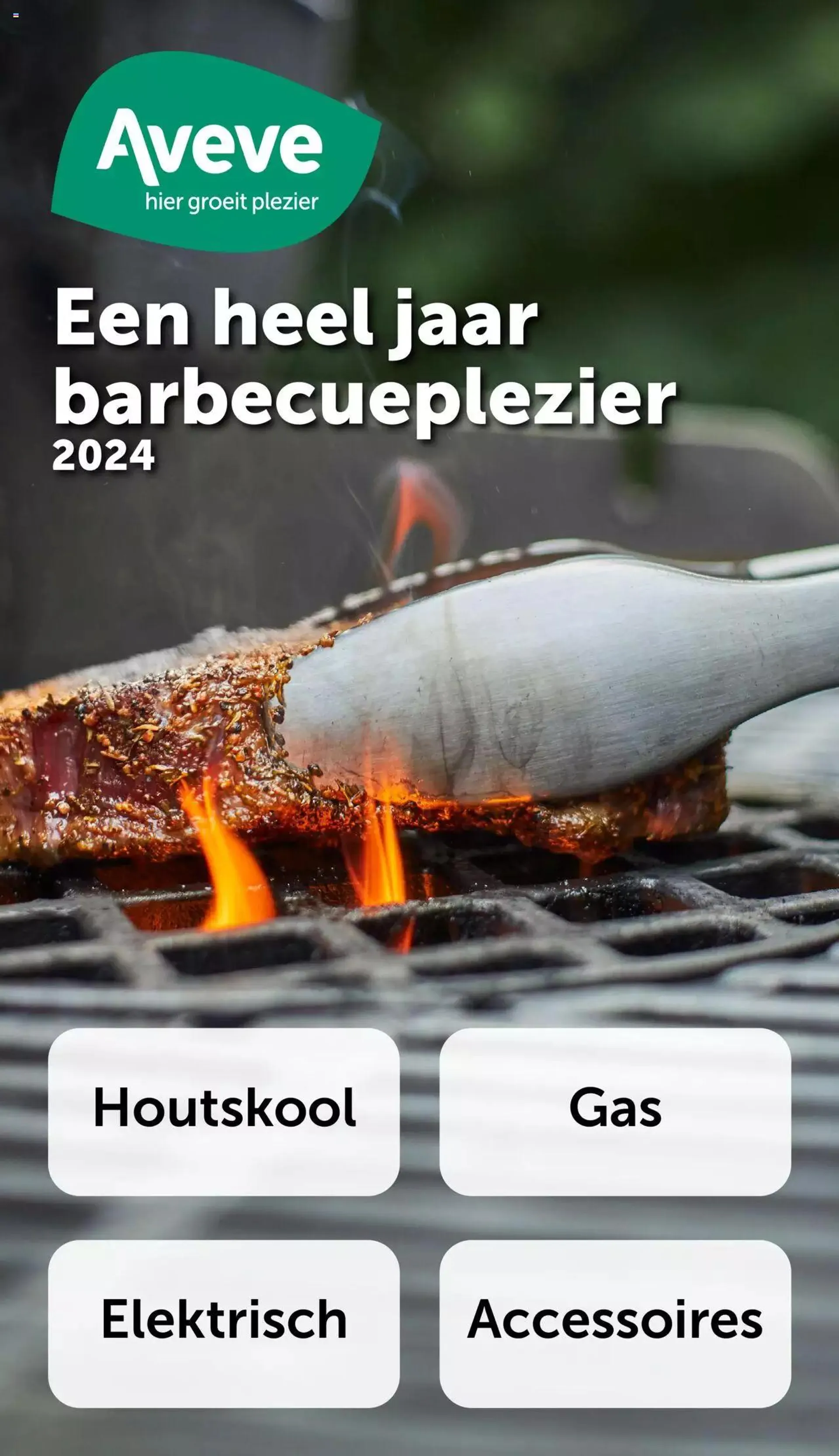 Aveve Barbecuegids van 1 maart tot 31 december 2024 - folder pagina 