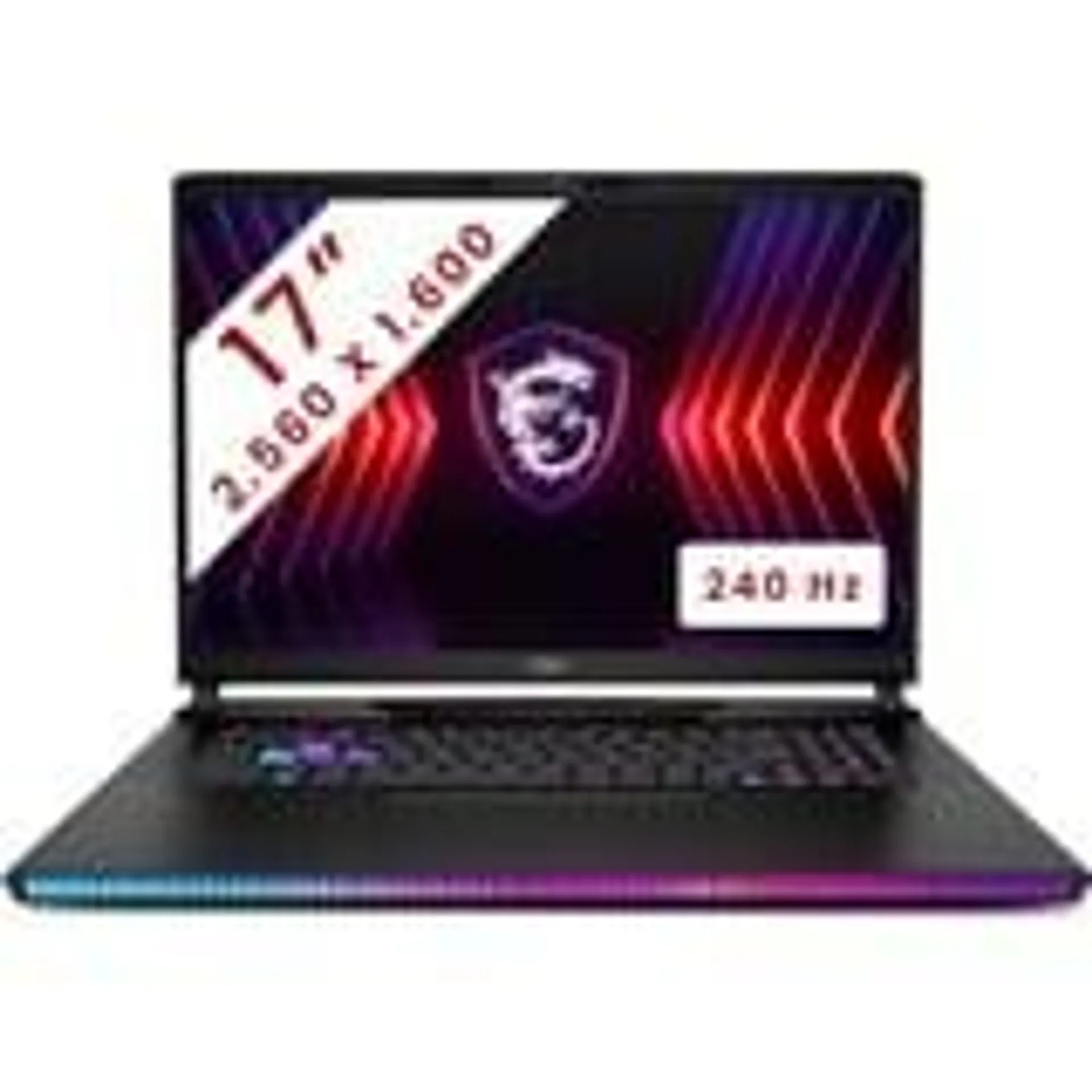 Raider GE78 HX (14VHG-642BE) 17" gaming laptop