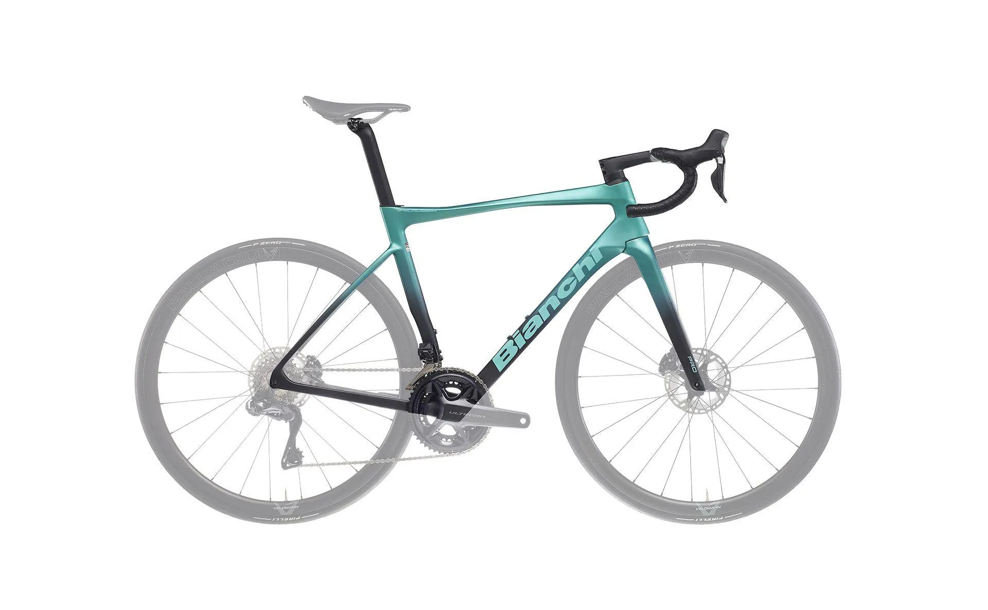 Specialissima PRO