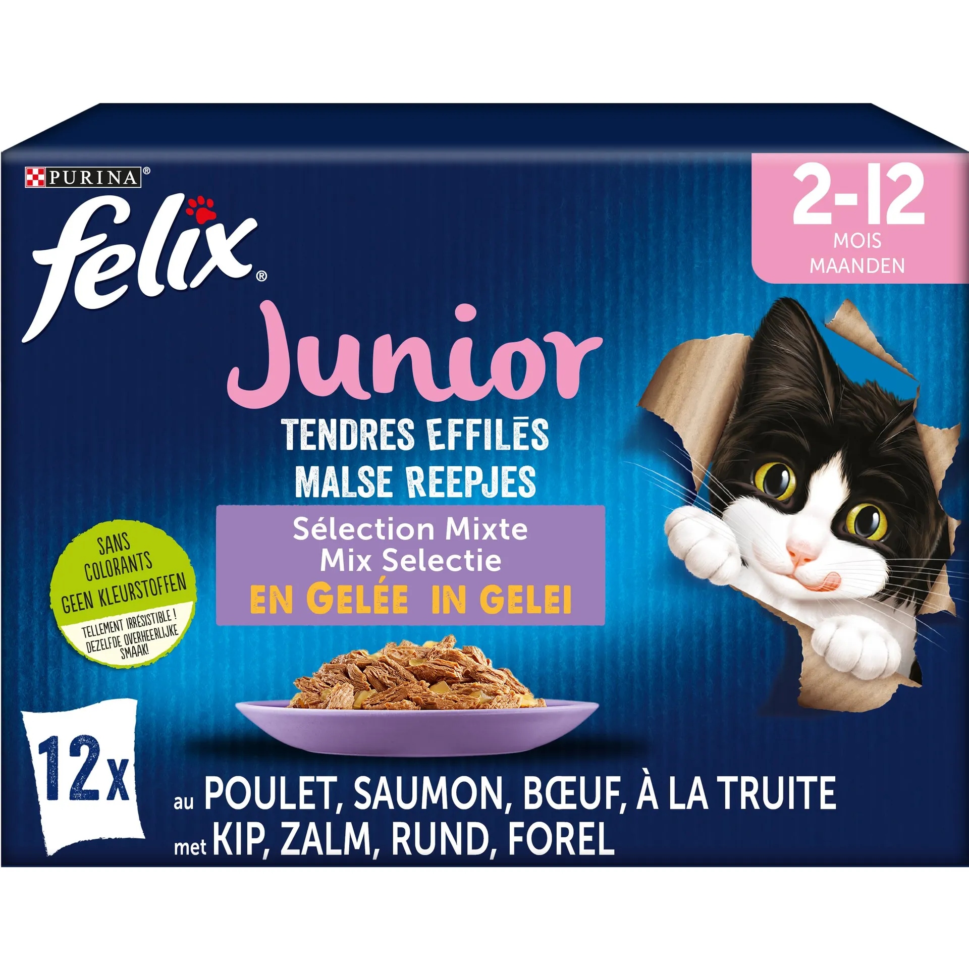 Felix kat malse reepjes junior mix selectie in gelei 12x85g kitten