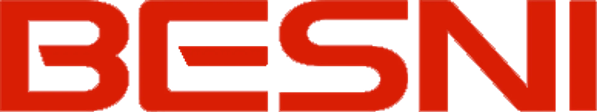 BESNI logo