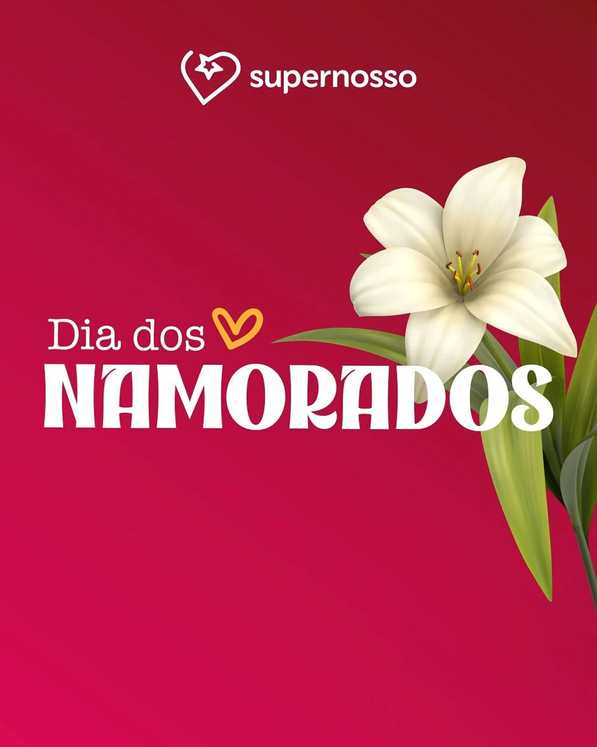 Catálogo Super Nosso - 1
