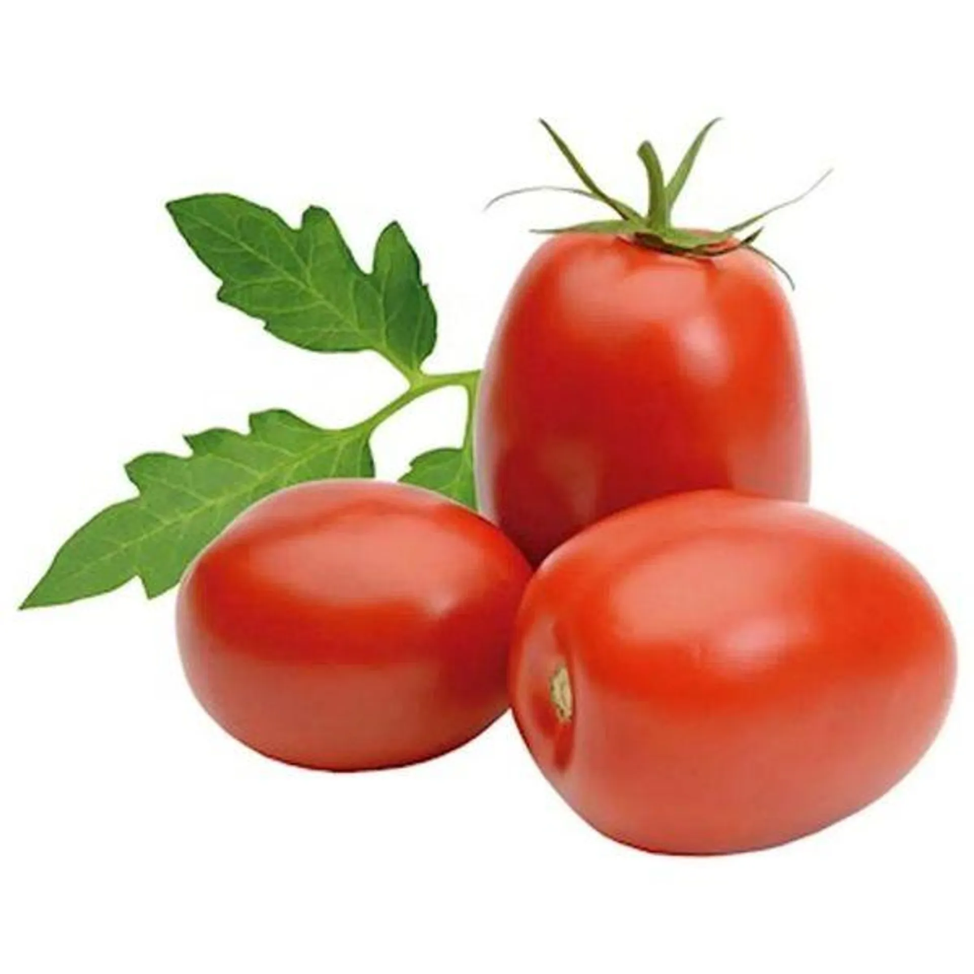 Tomate Italiano 500g (2 a 3 Unidades)