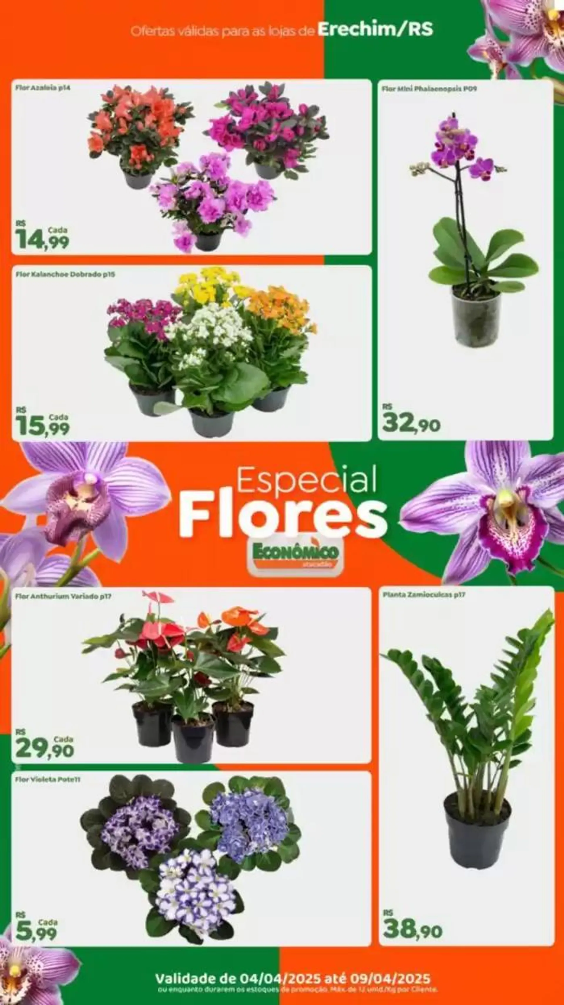 Ótima oferta para todos os clientes - 1