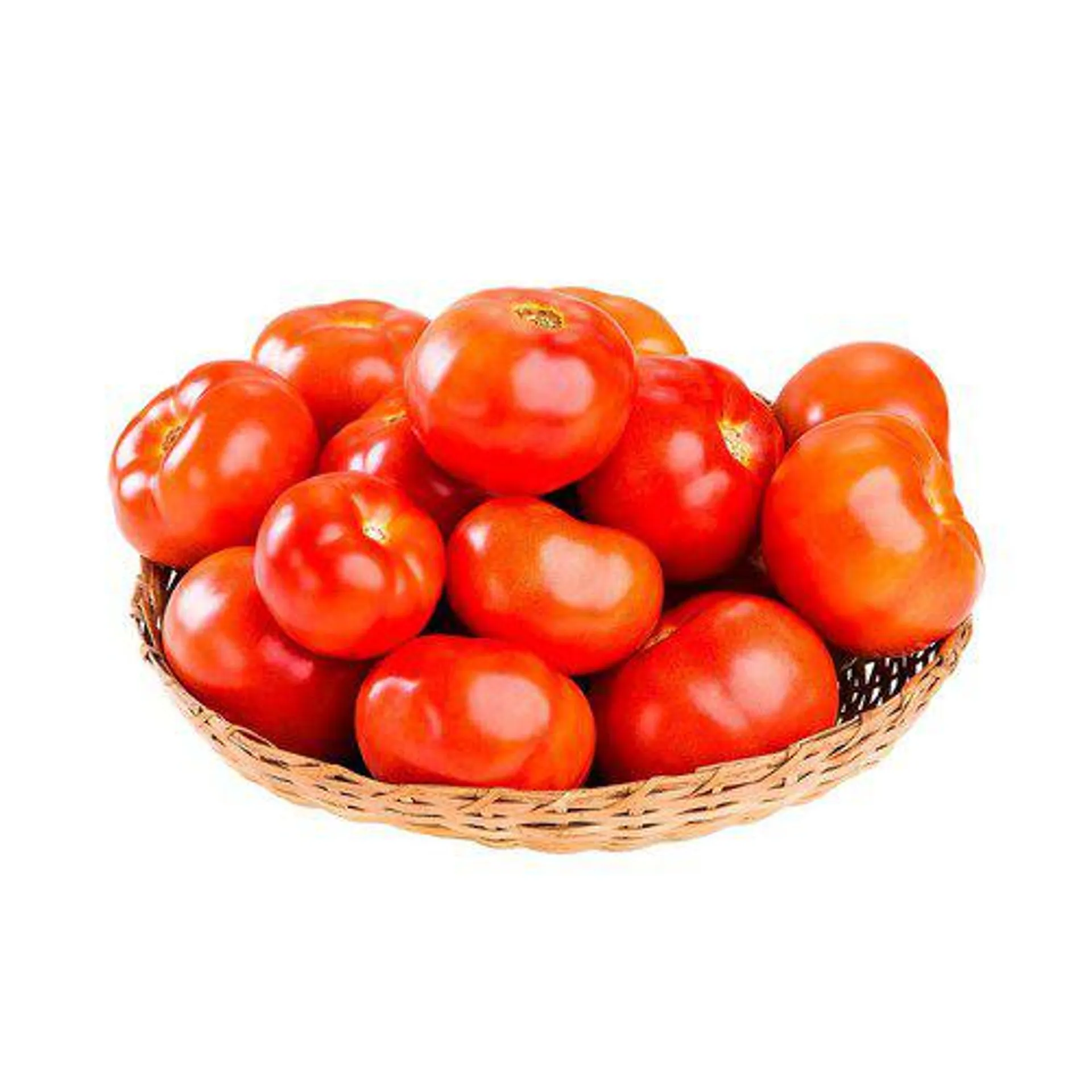 Tomate Carmem KG