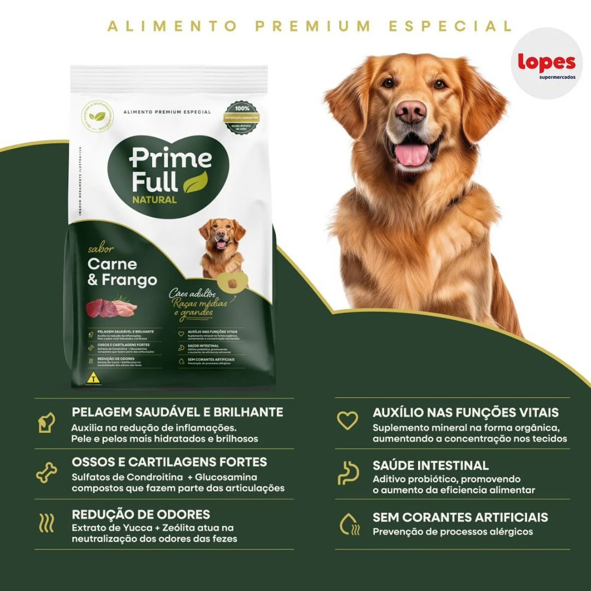 Encarte de Catálogo Lopes Supermercados 22 de junho até 28 de junho 2025 - Pagina 1