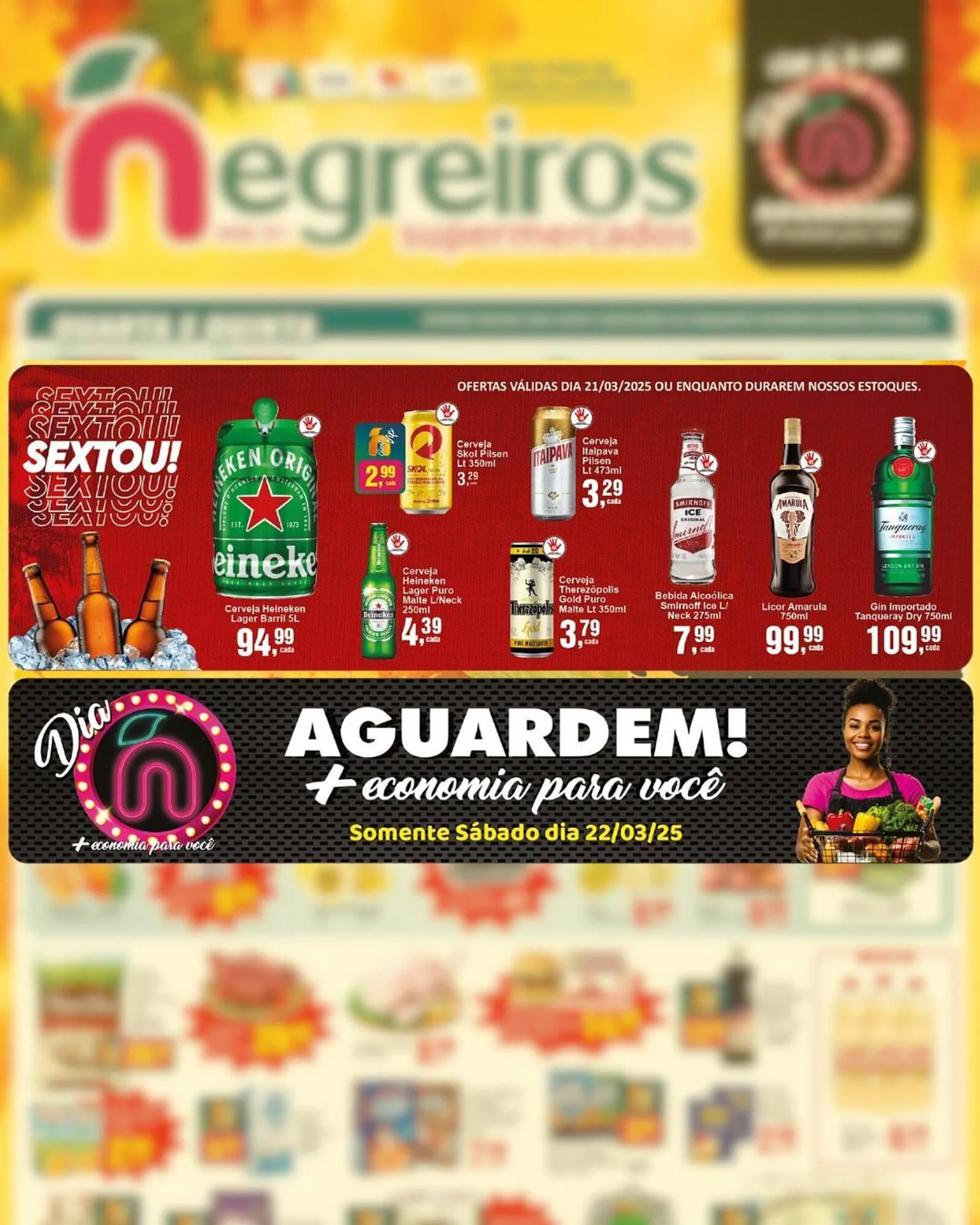 Encarte de Catálogo Negreiros 18 de março até 25 de março 2025 - Pagina 3