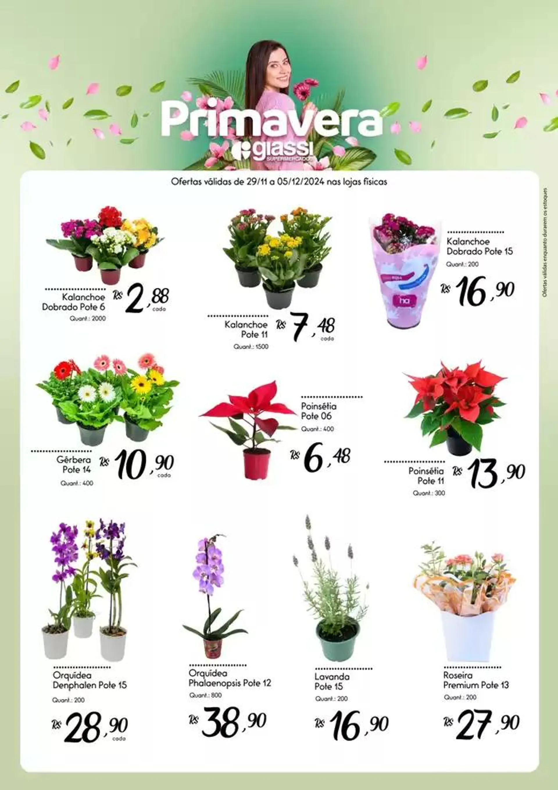 Encarte de Flores 29 de novembro até 5 de dezembro 2024 - Pagina 1