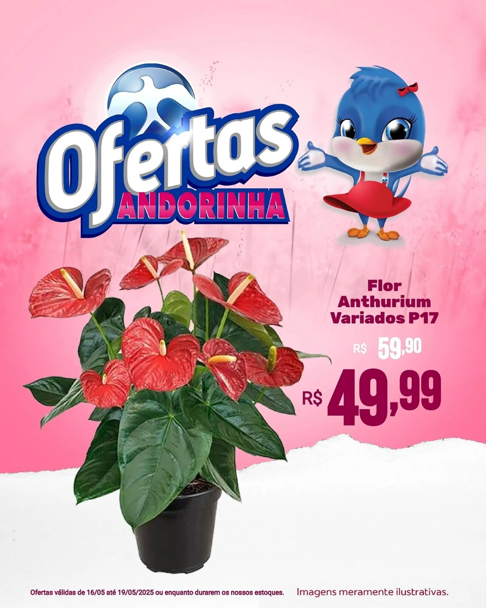 Catálogo Andorinha Hipermercado - 1