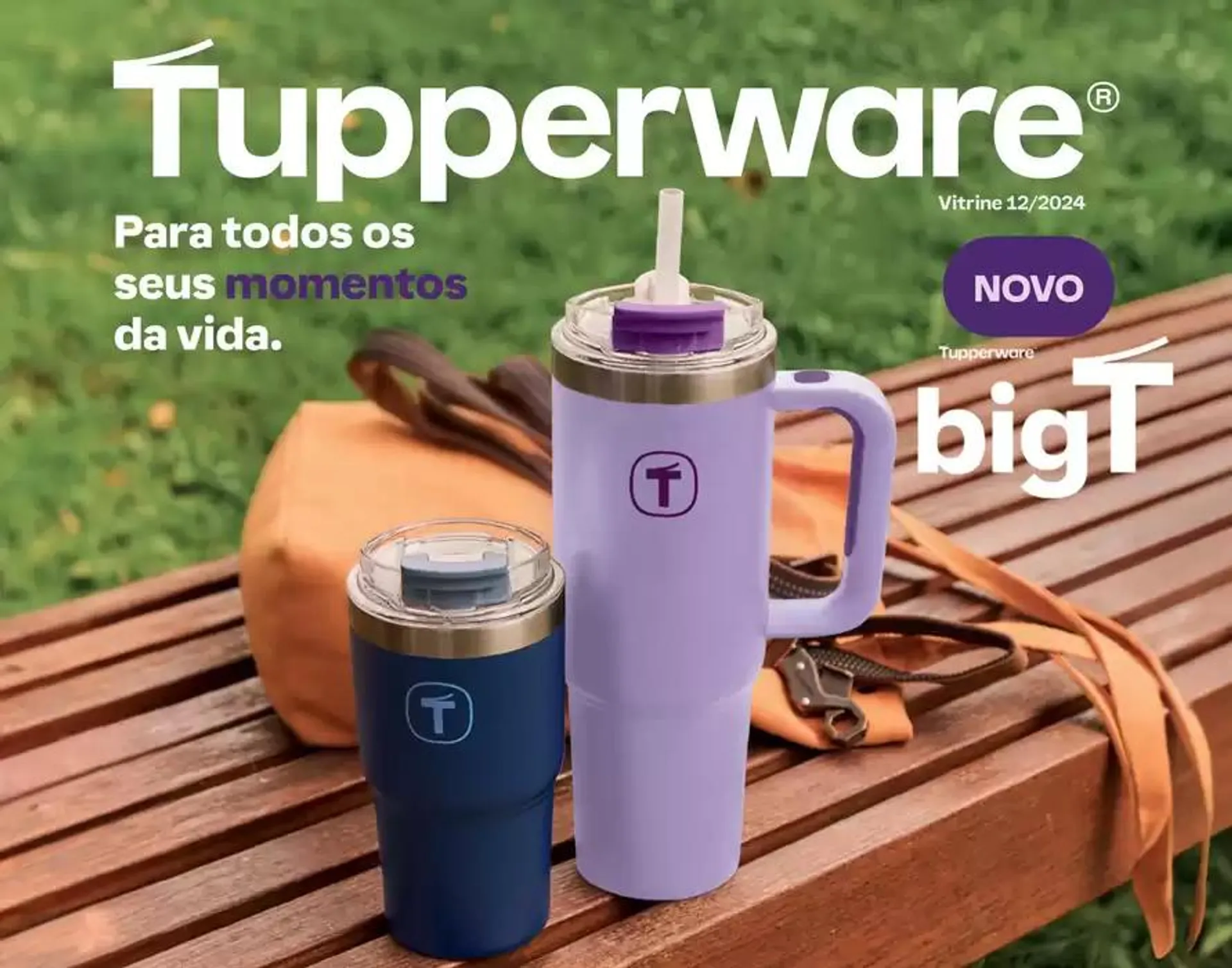 Tupperware Big T - 1