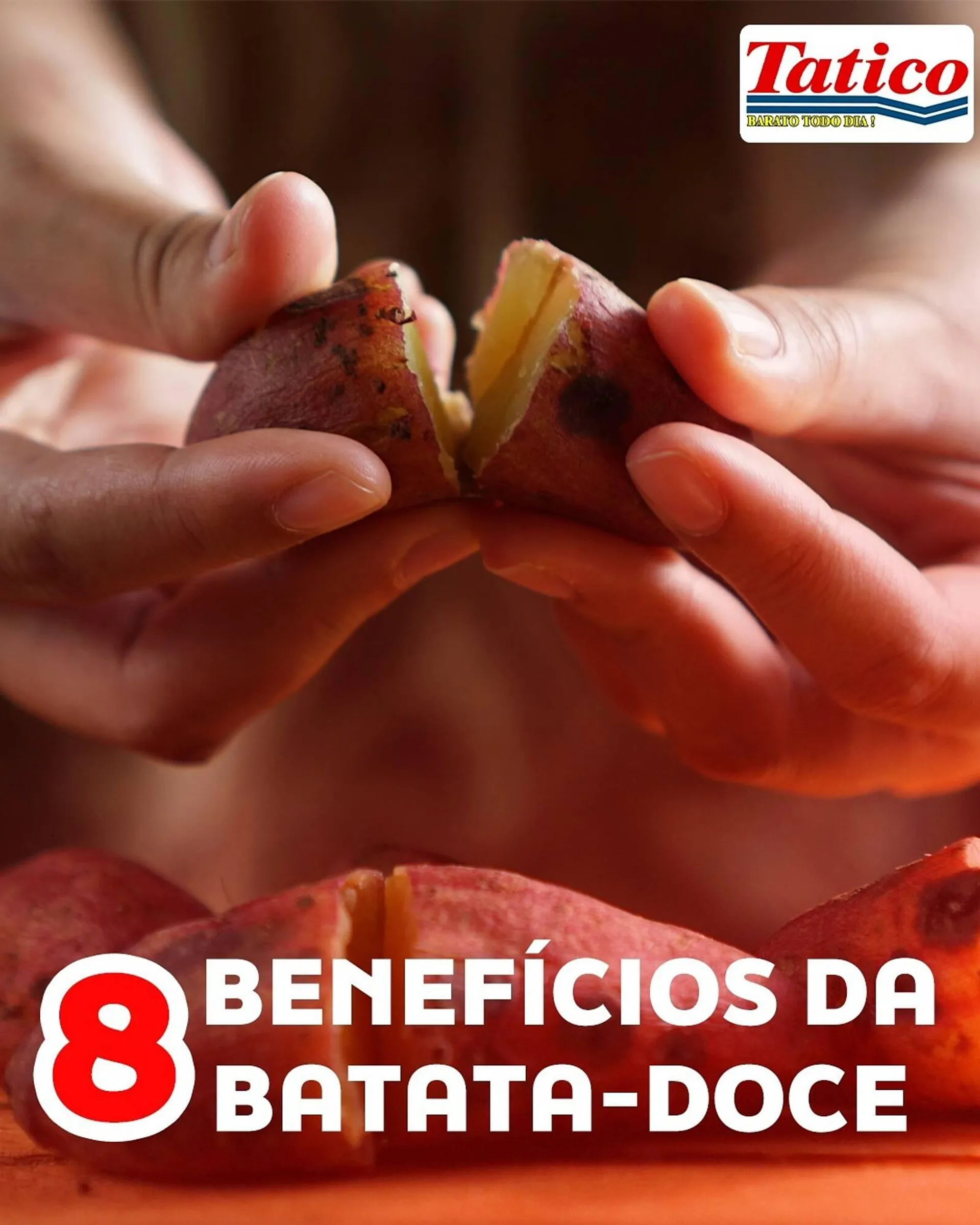 Catálogo Tatico - 1