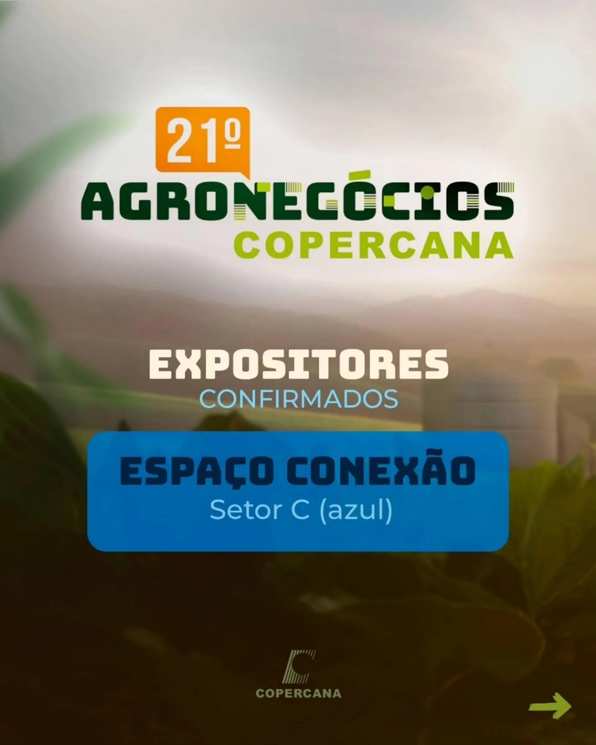 Catálogo Copercana - 1