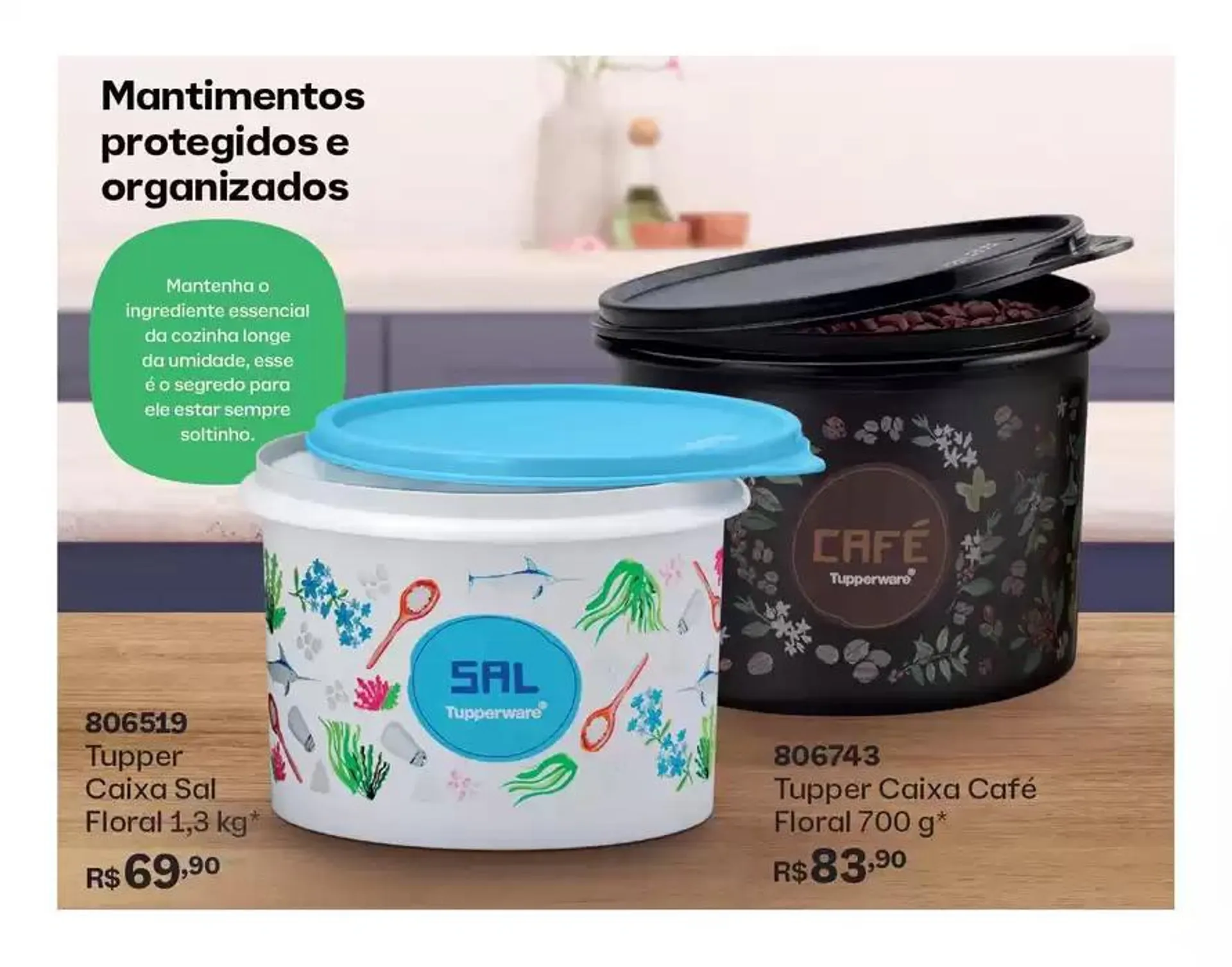 Encarte de Catálogo Tupperware 11 de novembro até 12 de novembro 2024 - Pagina 13