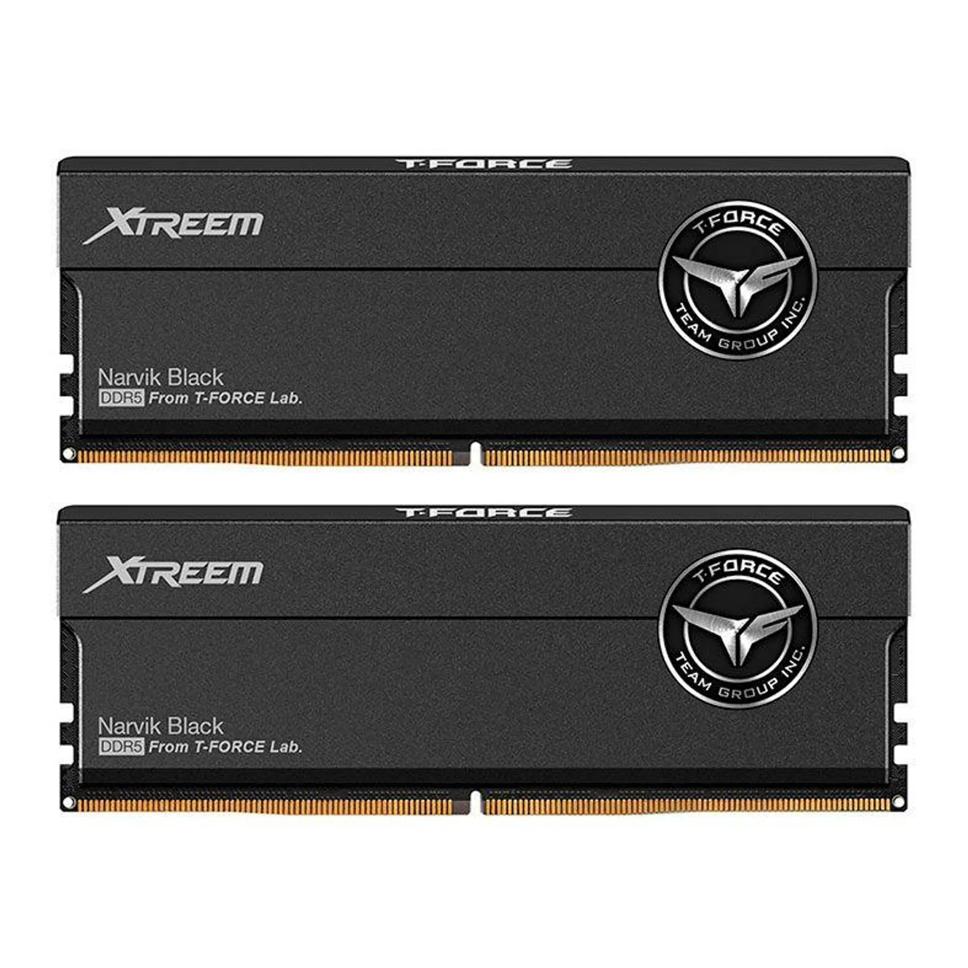 Memoria Team Group Xtreem, 32GB, (2X16GB), DDR5, 8000MHz, C38, Preto, FFXD532G8000HC38DDC01