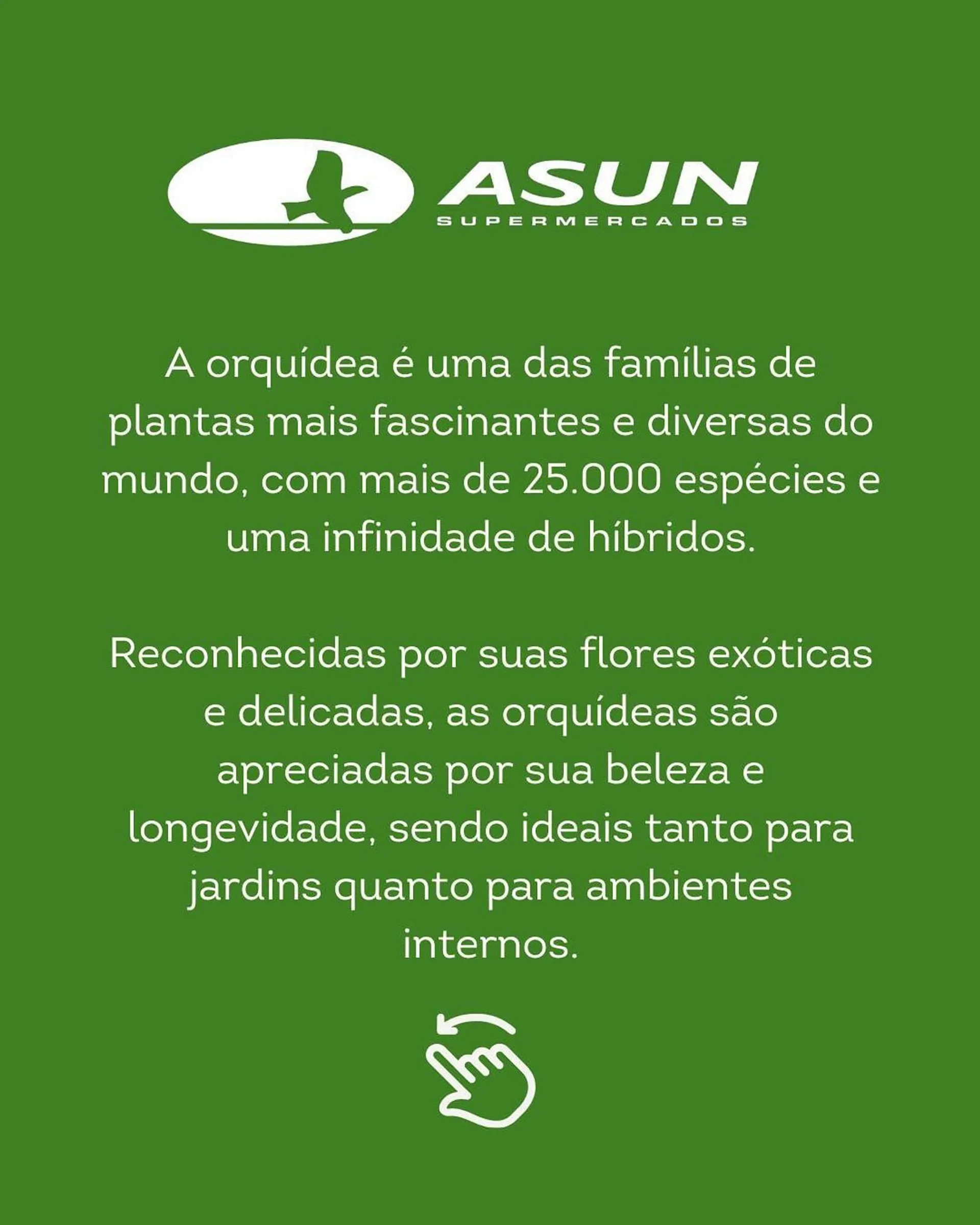 Encarte de Catálogo Asun 7 de maio até 13 de maio 2025 - Pagina 2